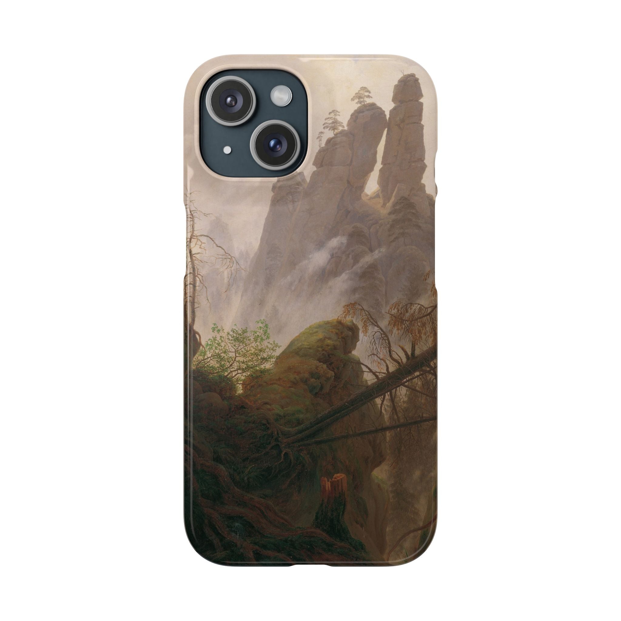 Rocky Landscape in the Elbe Sandstone Mountains by Caspar David Friedrich - iPhone Slim Case