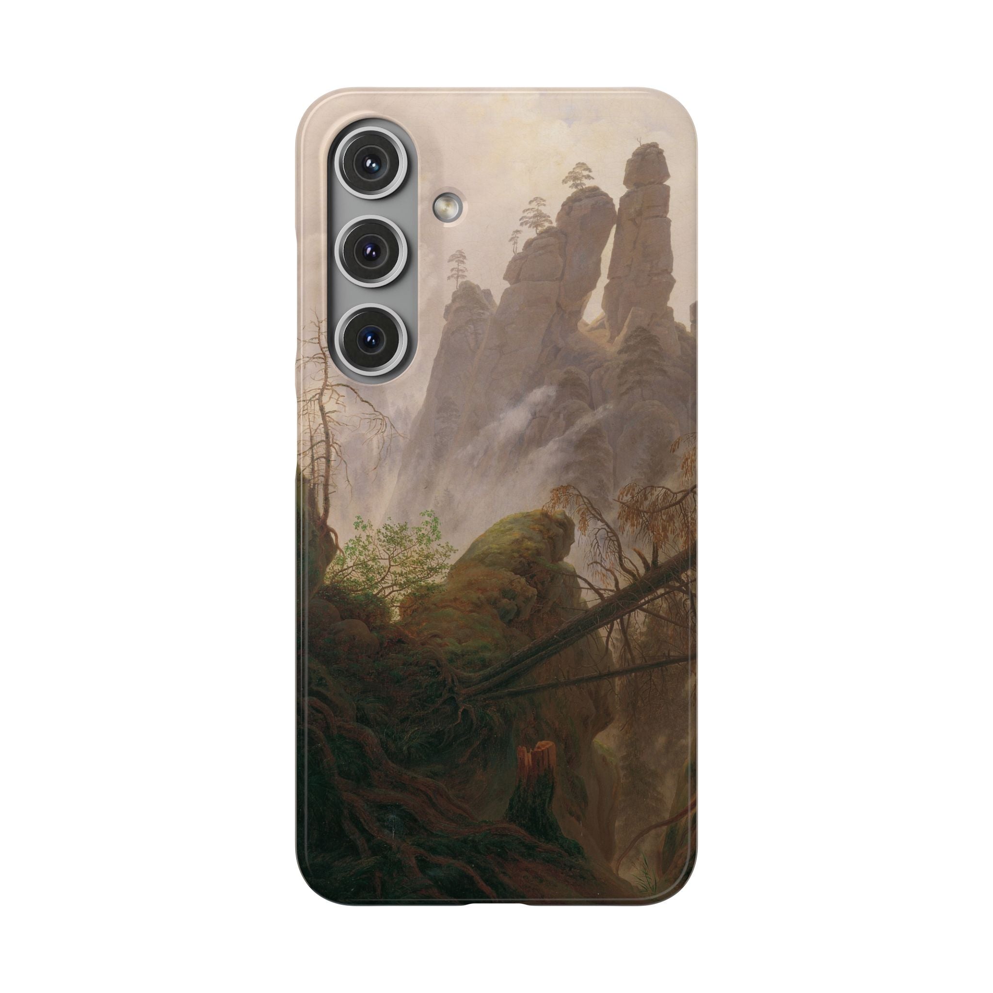 Rocky Landscape in the Elbe Sandstone Mountains by Caspar David Friedrich - Samsung Slim Case