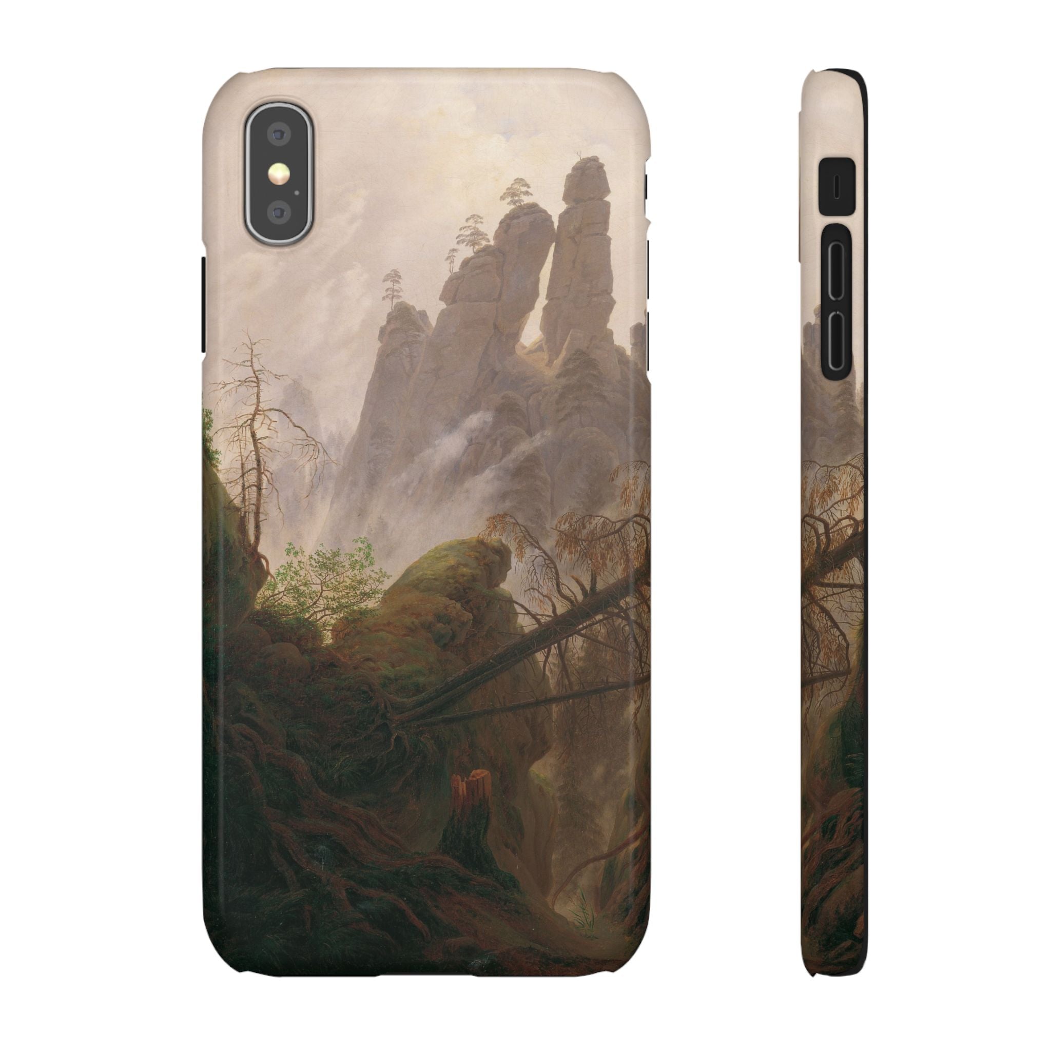 Rocky Landscape in the Elbe Sandstone Mountains by Caspar David Friedrich - iPhone Slim Case