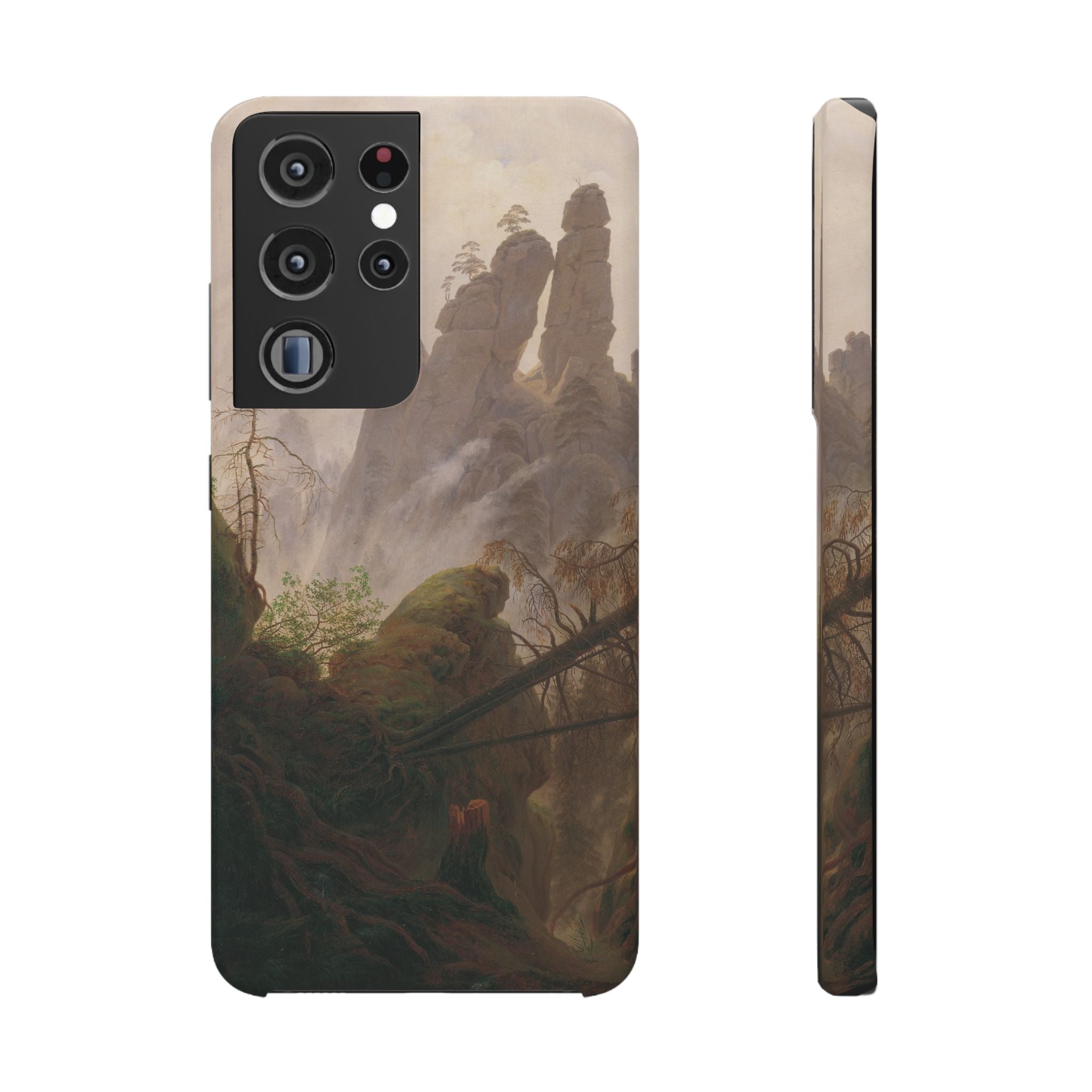 Rocky Landscape in the Elbe Sandstone Mountains by Caspar David Friedrich - Samsung Slim Case