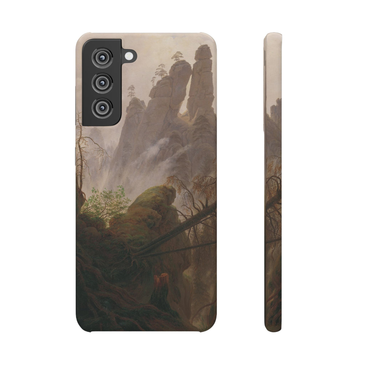 Rocky Landscape in the Elbe Sandstone Mountains by Caspar David Friedrich - Samsung Slim Case