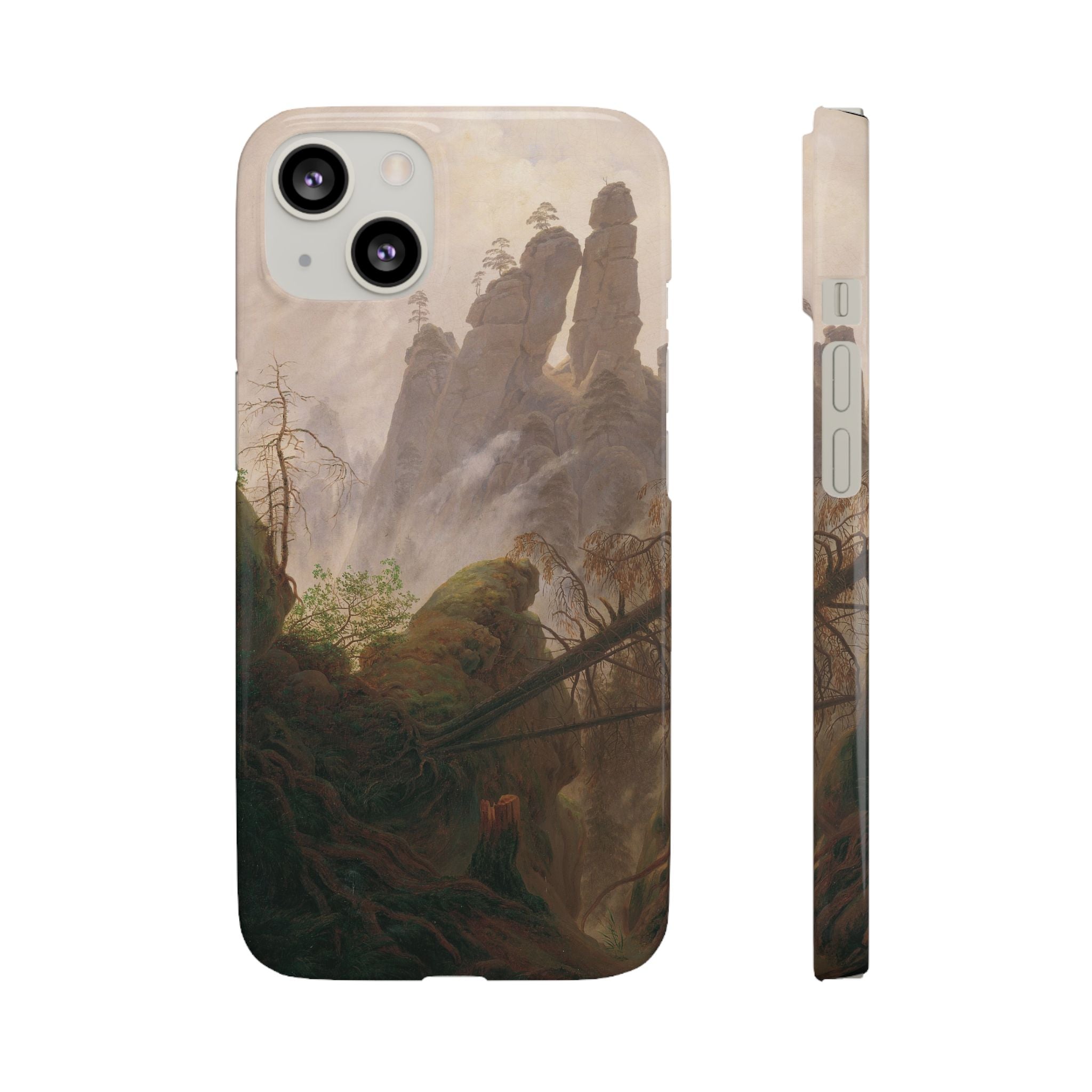 Rocky Landscape in the Elbe Sandstone Mountains by Caspar David Friedrich - iPhone Slim Case
