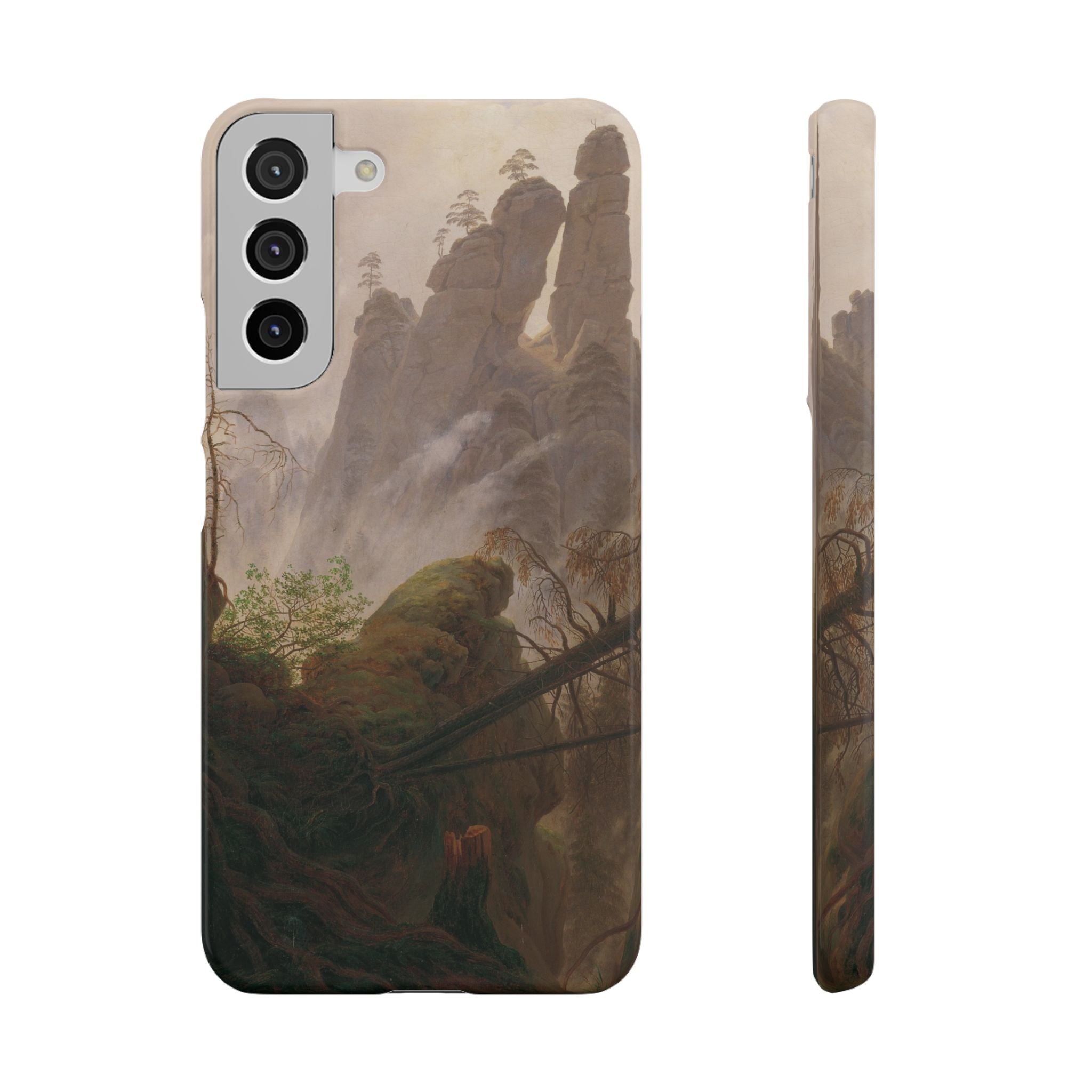 Rocky Landscape in the Elbe Sandstone Mountains by Caspar David Friedrich - Samsung Slim Case