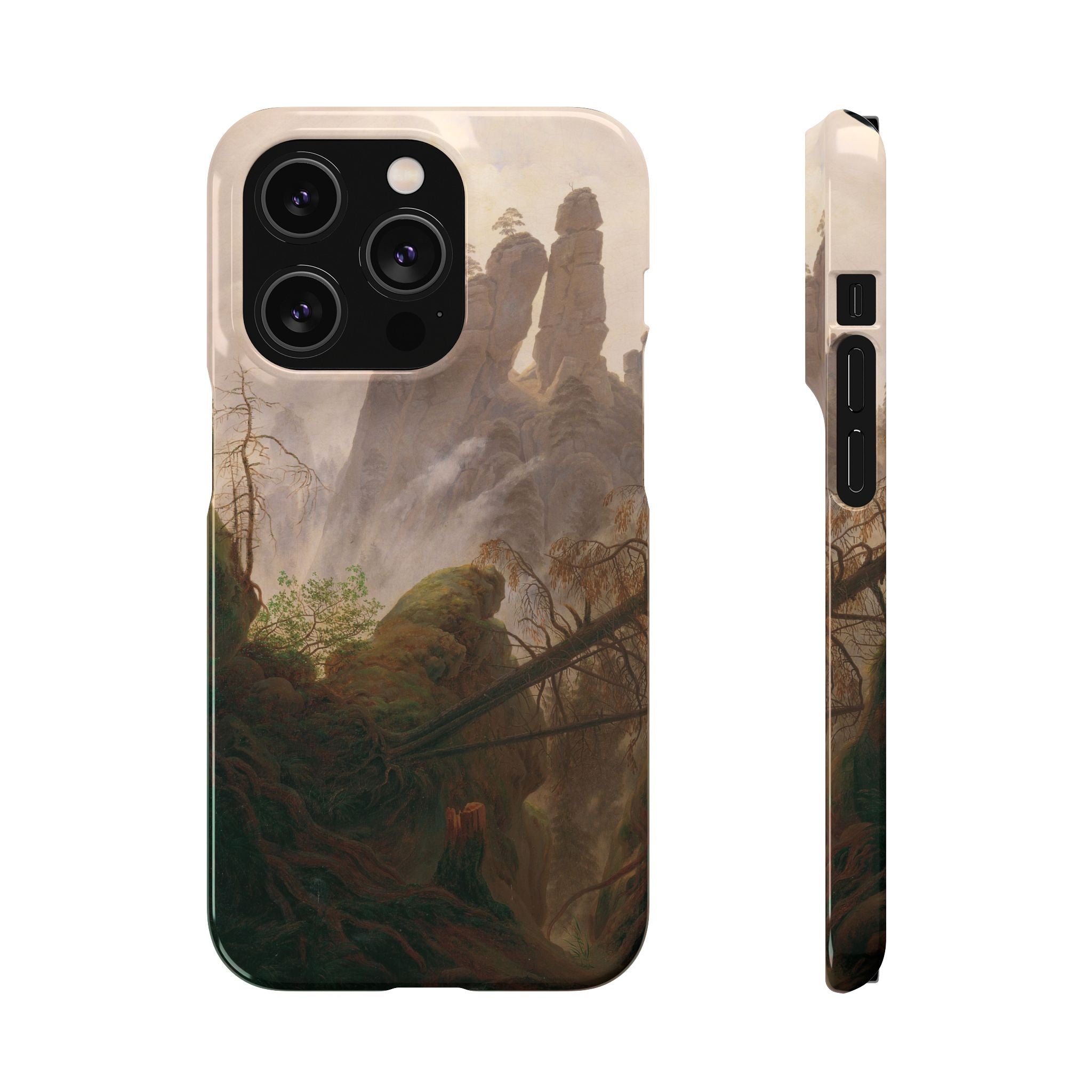 Rocky Landscape in the Elbe Sandstone Mountains by Caspar David Friedrich - iPhone Slim Case