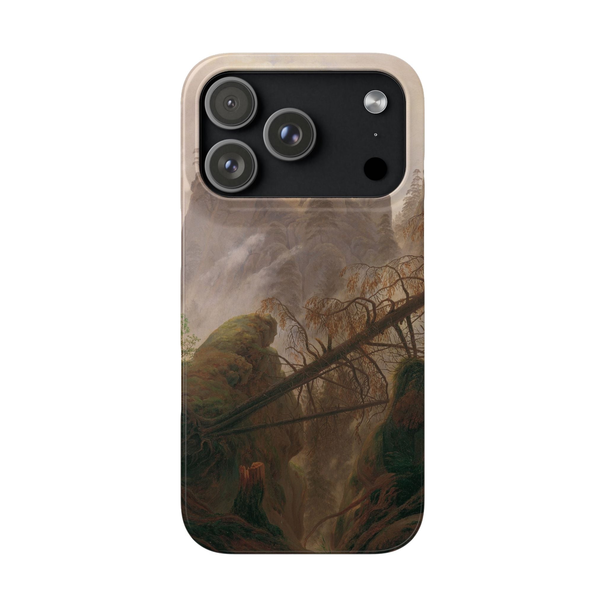 Rocky Landscape in the Elbe Sandstone Mountains by Caspar David Friedrich - iPhone Slim Case
