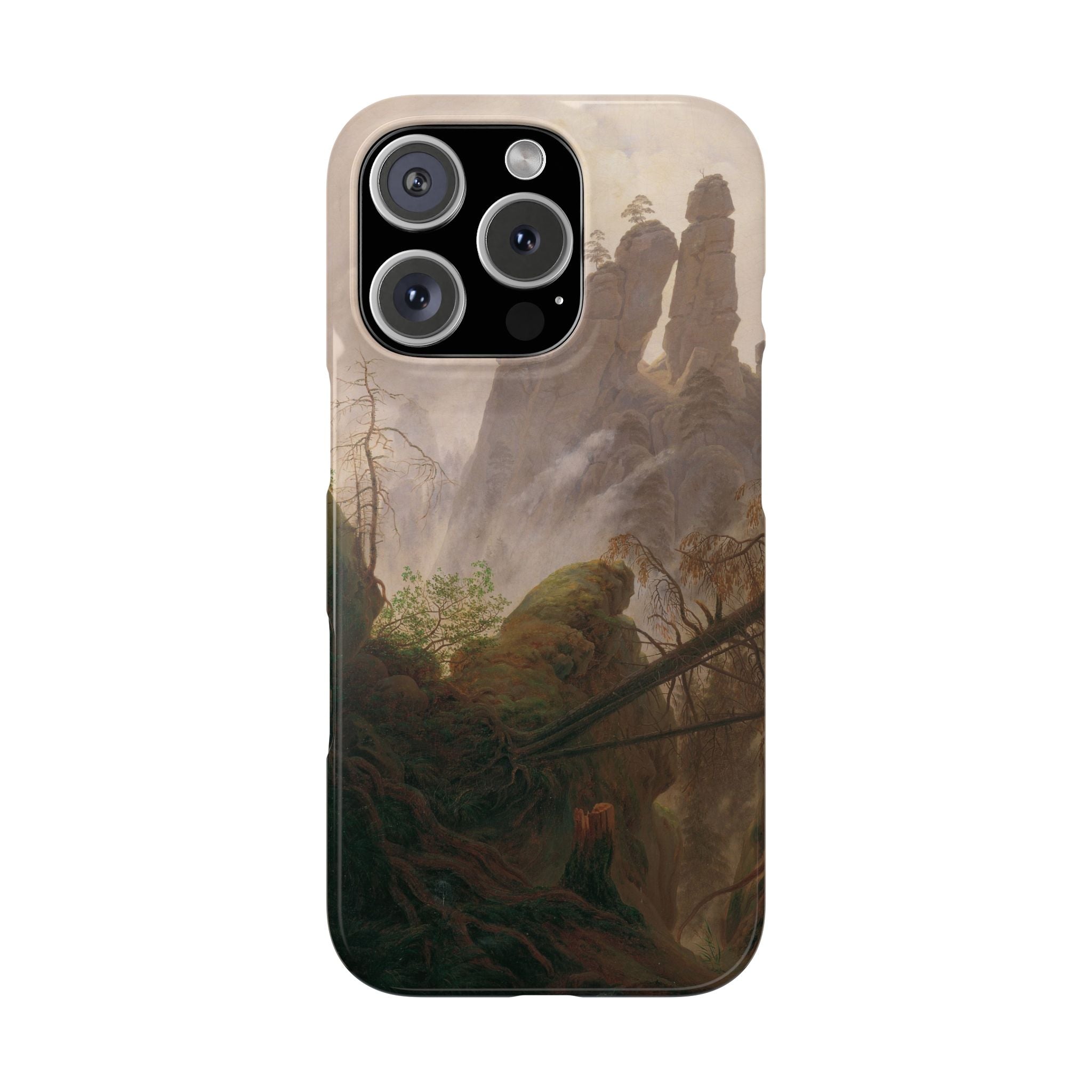 Rocky Landscape in the Elbe Sandstone Mountains by Caspar David Friedrich - iPhone Slim Case