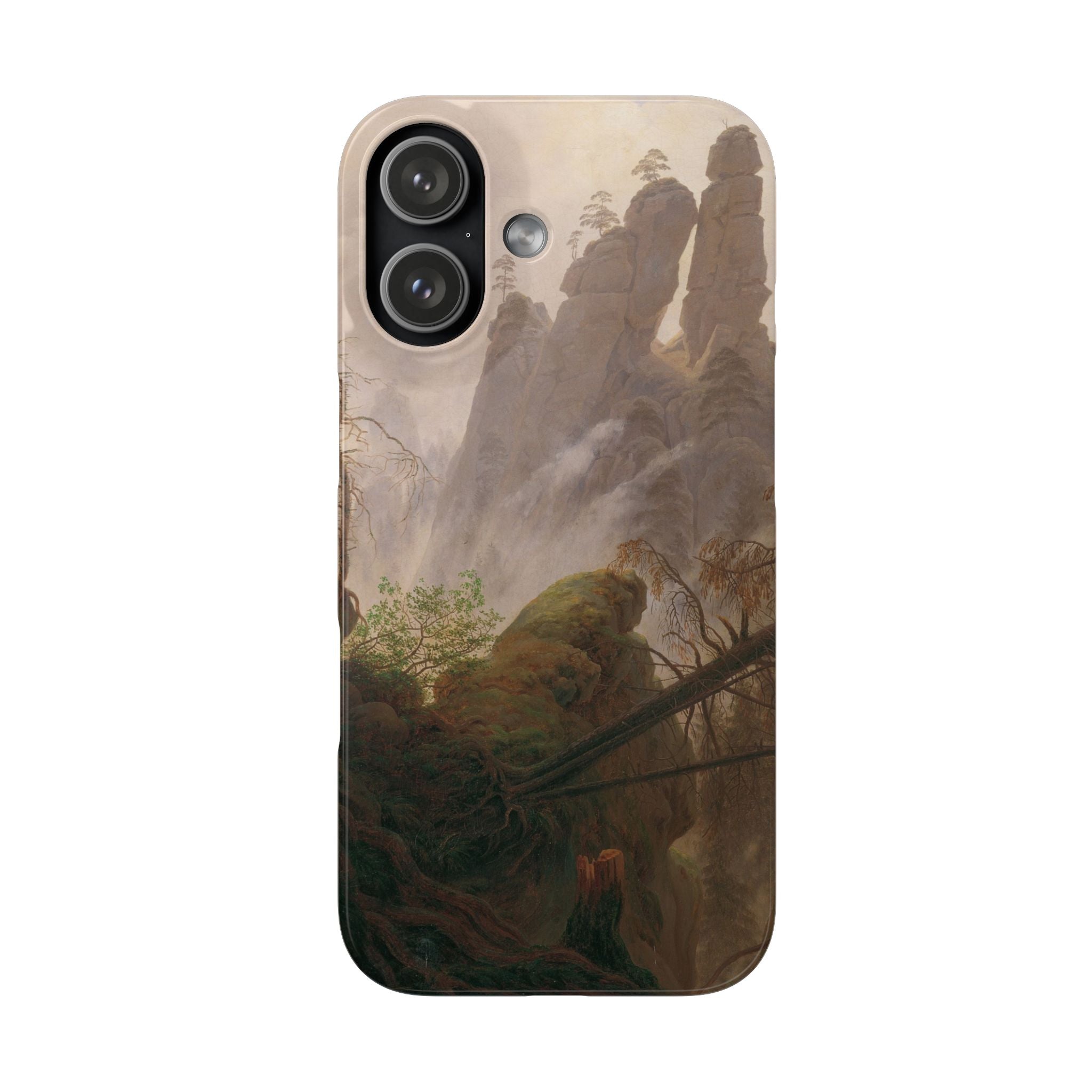 Rocky Landscape in the Elbe Sandstone Mountains by Caspar David Friedrich - iPhone Slim Case