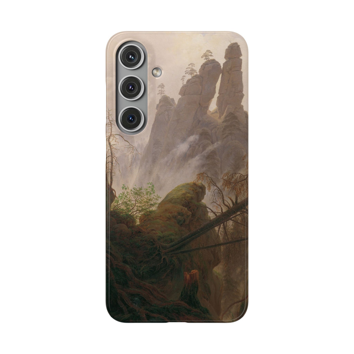 Rocky Landscape in the Elbe Sandstone Mountains by Caspar David Friedrich - Samsung Slim Case