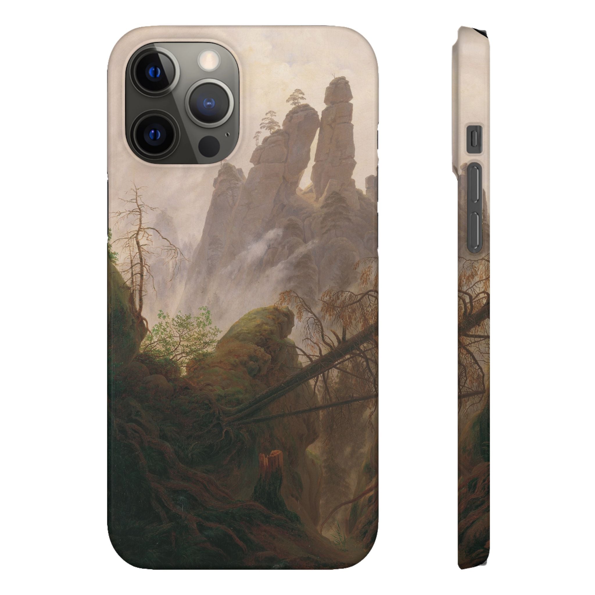 Rocky Landscape in the Elbe Sandstone Mountains by Caspar David Friedrich - iPhone Slim Case