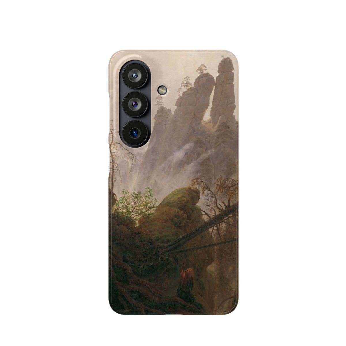 Rocky Landscape in the Elbe Sandstone Mountains by Caspar David Friedrich - Samsung Slim Case