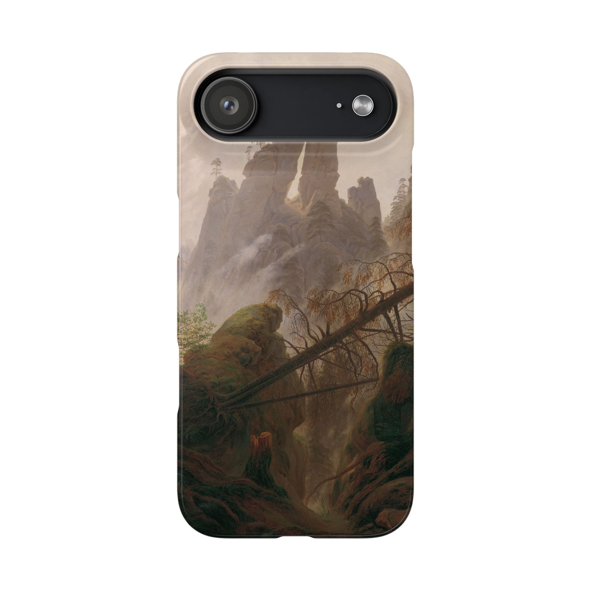 Rocky Landscape in the Elbe Sandstone Mountains by Caspar David Friedrich - iPhone Slim Case