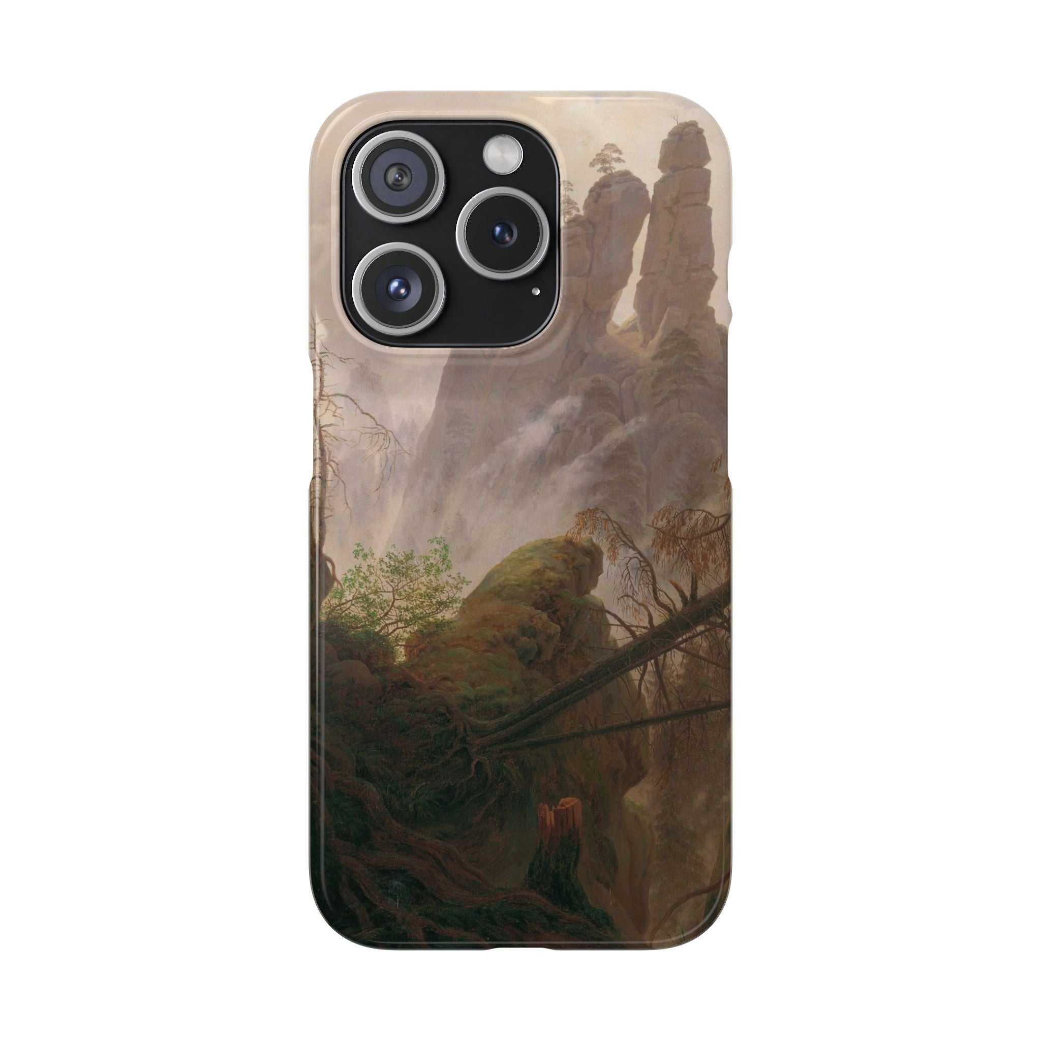 Rocky Landscape in the Elbe Sandstone Mountains by Caspar David Friedrich - iPhone Slim Case
