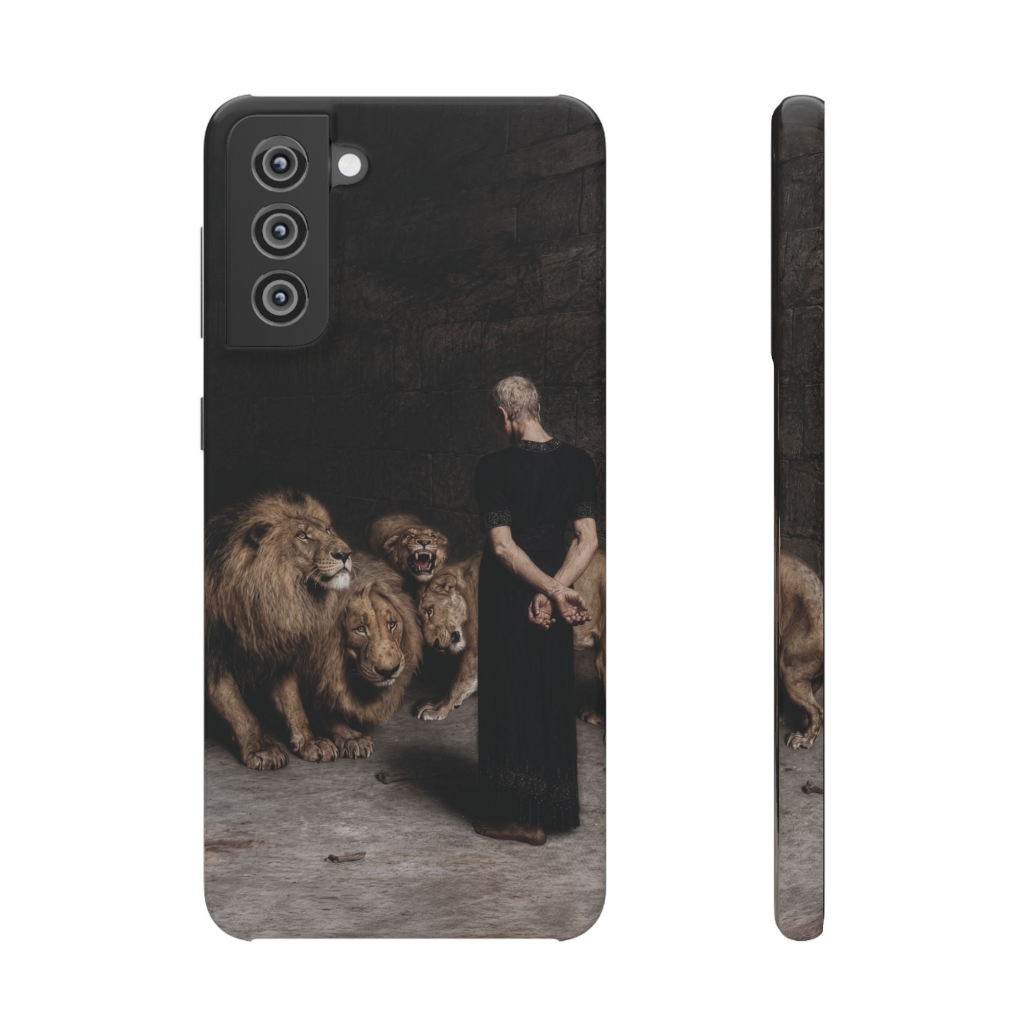 Daniel in the Lion's Den by Briton Riviere - Samsung Slim Case