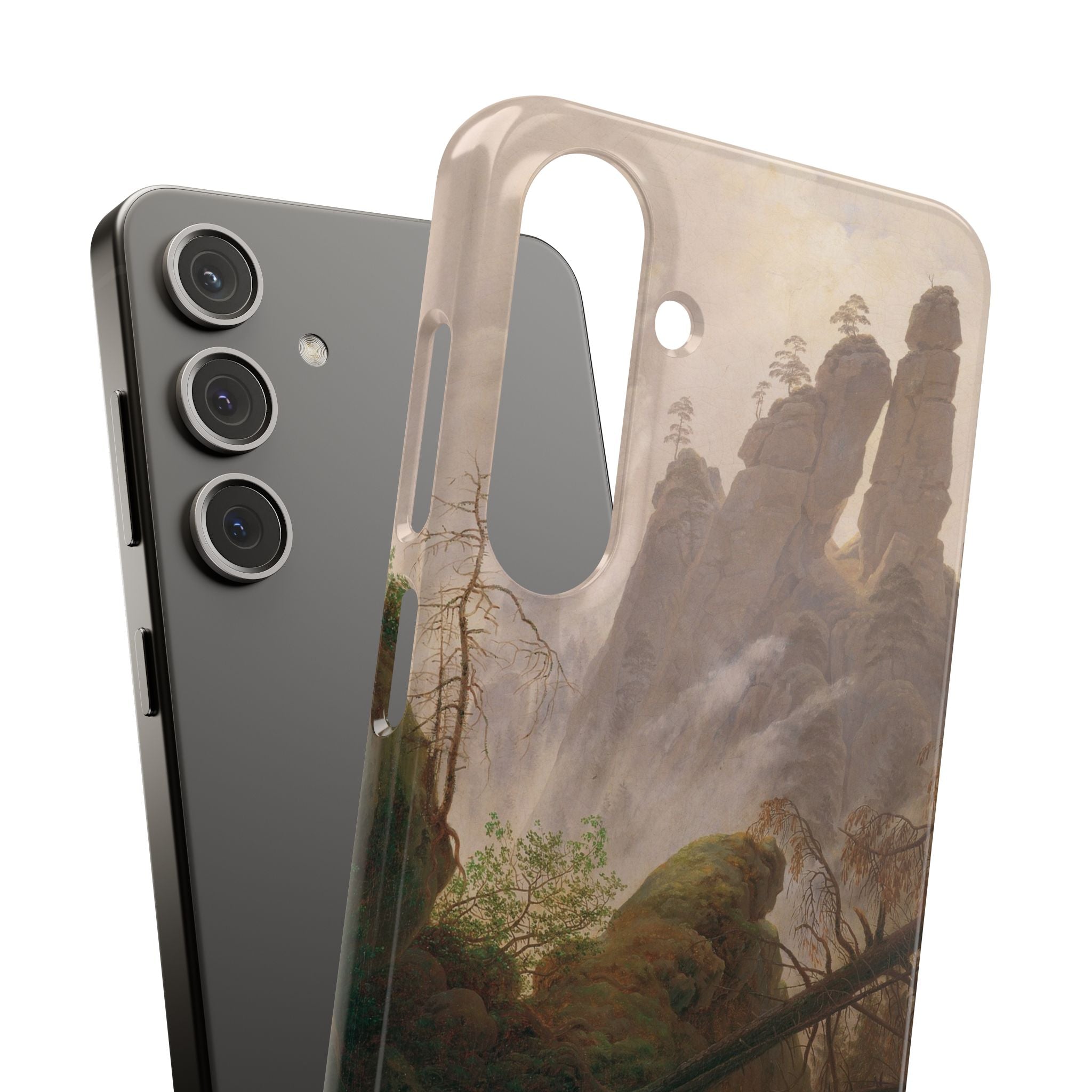 Rocky Landscape in the Elbe Sandstone Mountains by Caspar David Friedrich - Samsung Slim Case