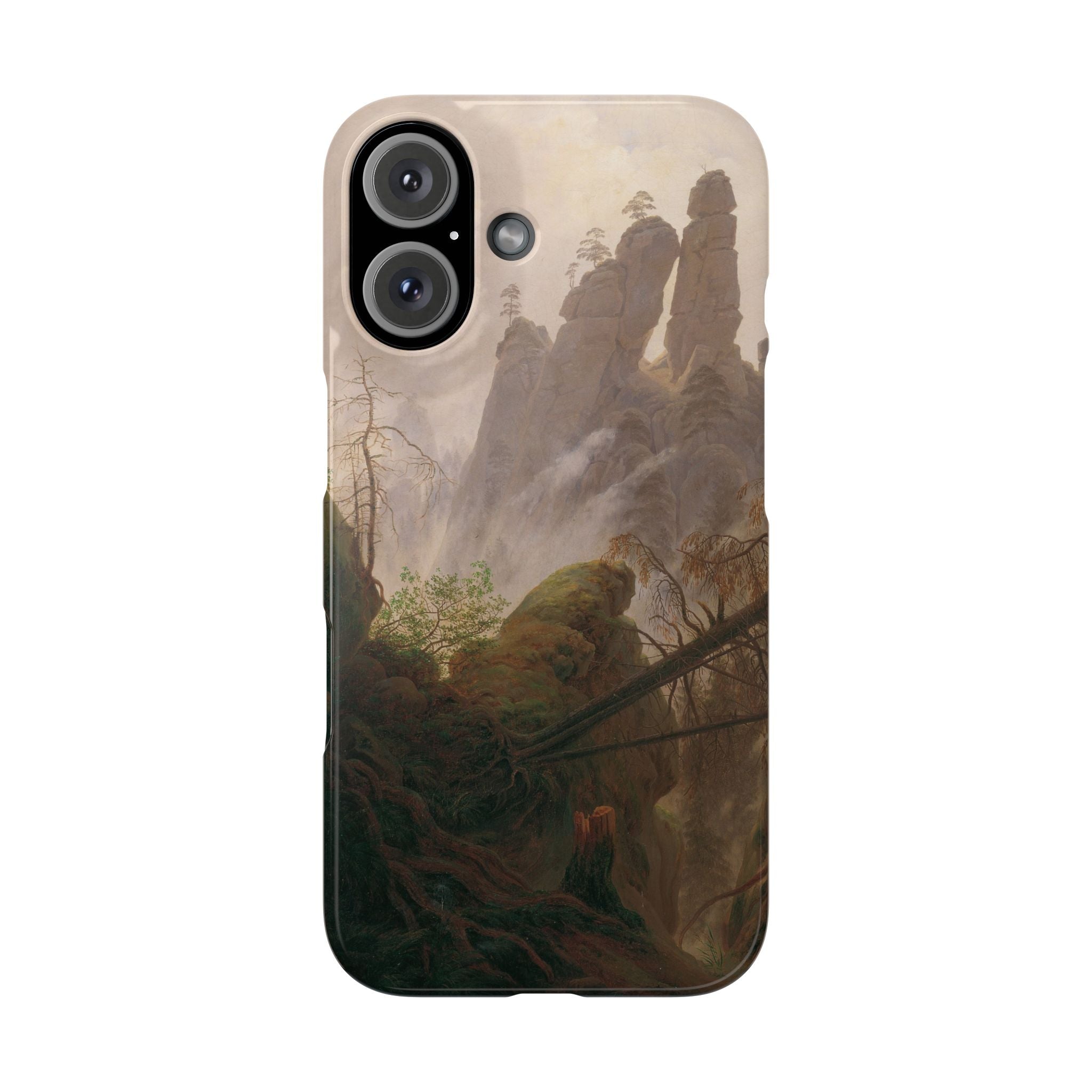 Rocky Landscape in the Elbe Sandstone Mountains by Caspar David Friedrich - iPhone Slim Case