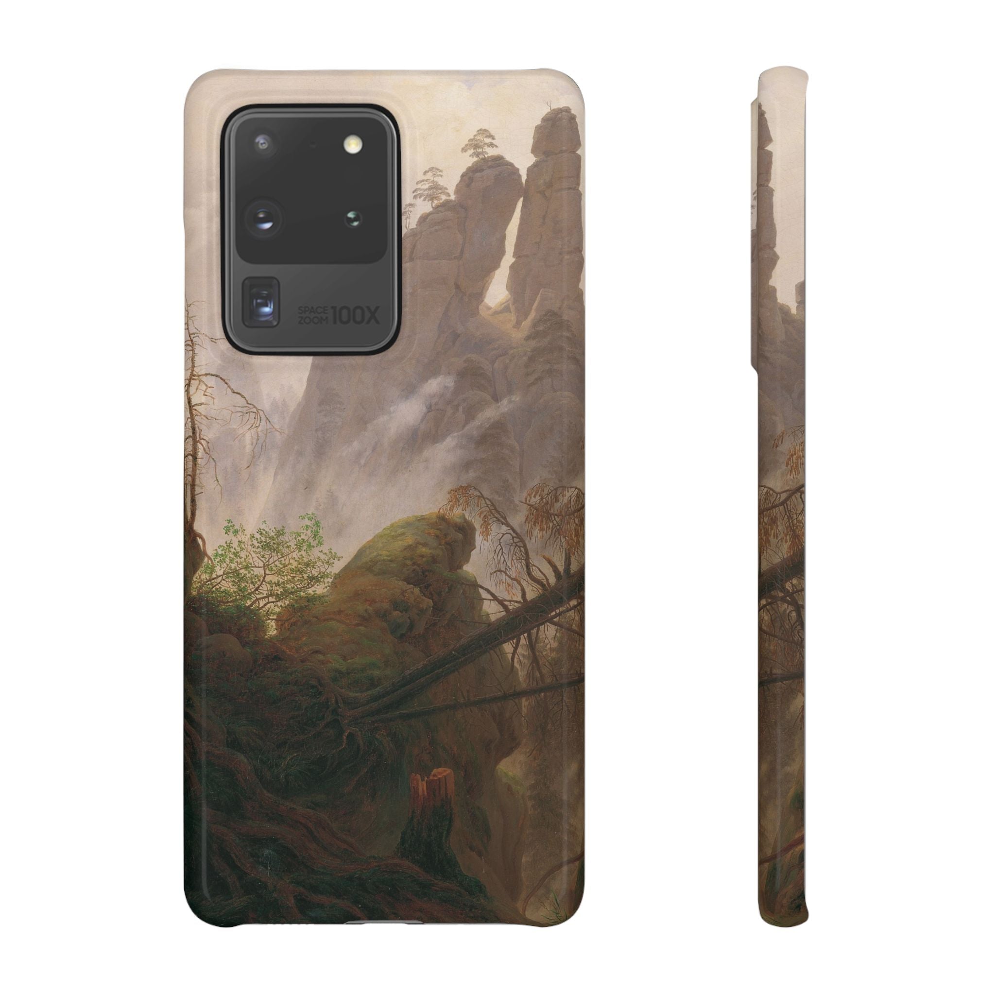Rocky Landscape in the Elbe Sandstone Mountains by Caspar David Friedrich - Samsung Slim Case