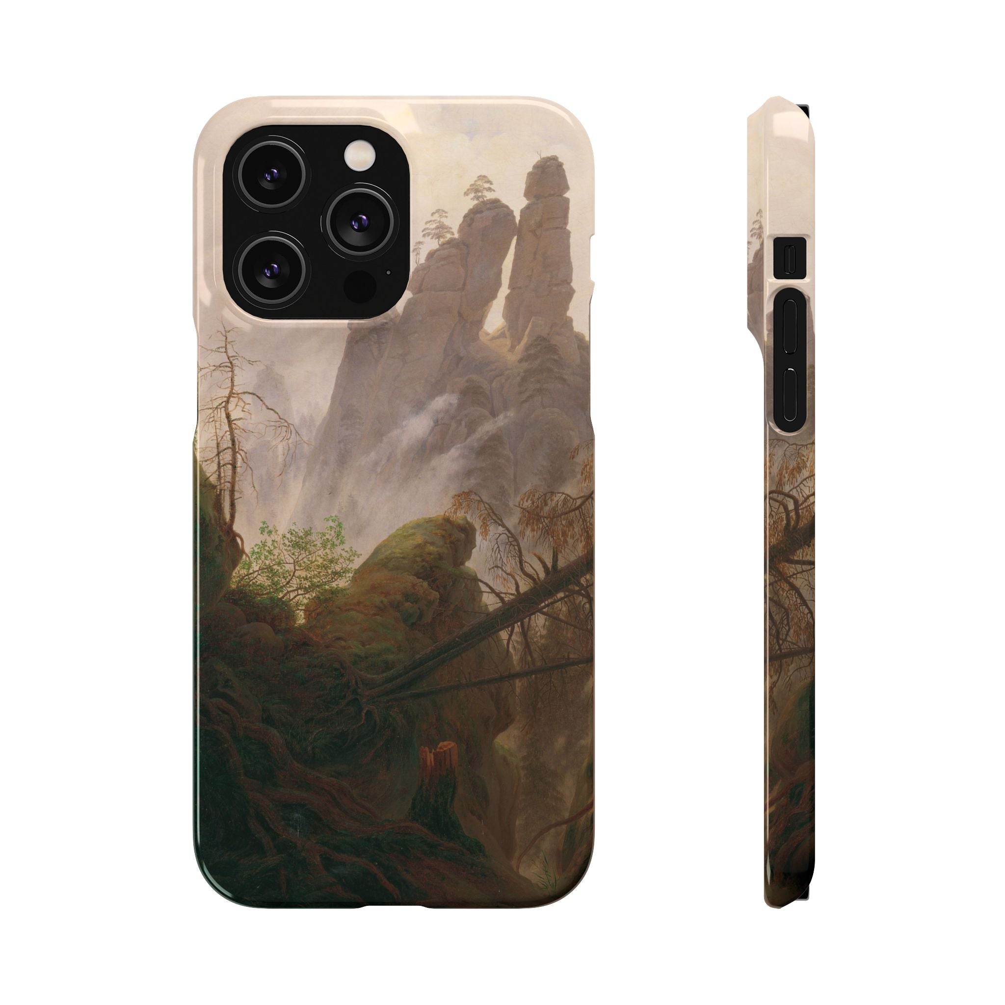 Rocky Landscape in the Elbe Sandstone Mountains by Caspar David Friedrich - iPhone Slim Case