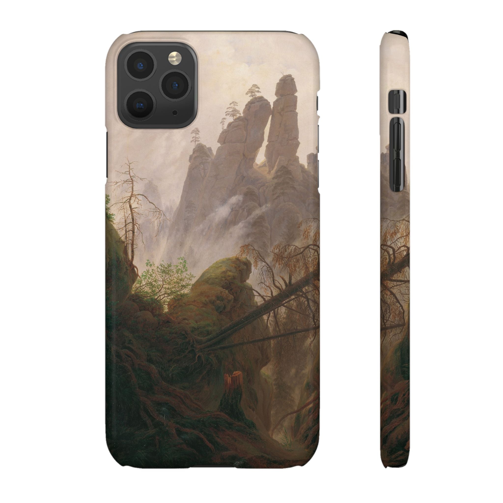 Rocky Landscape in the Elbe Sandstone Mountains by Caspar David Friedrich - iPhone Slim Case