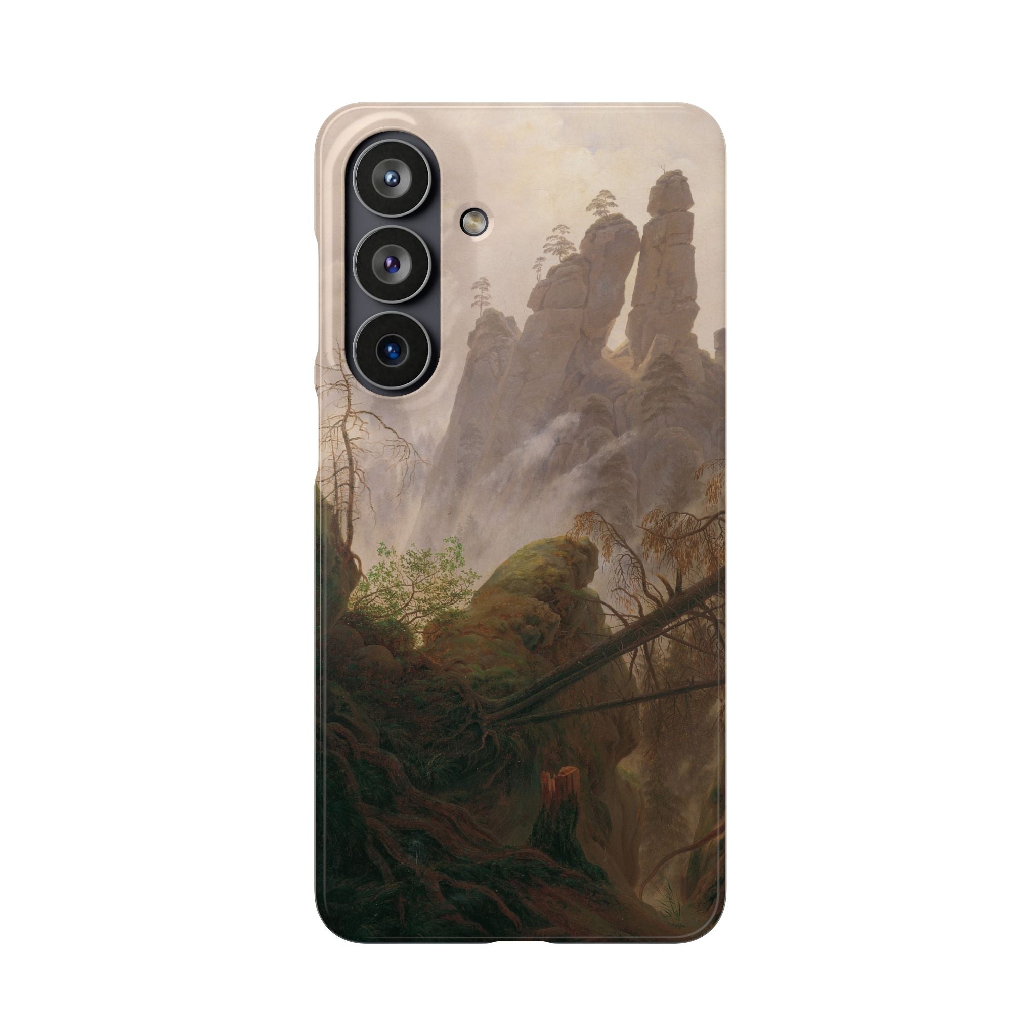 Rocky Landscape in the Elbe Sandstone Mountains by Caspar David Friedrich - Samsung Slim Case