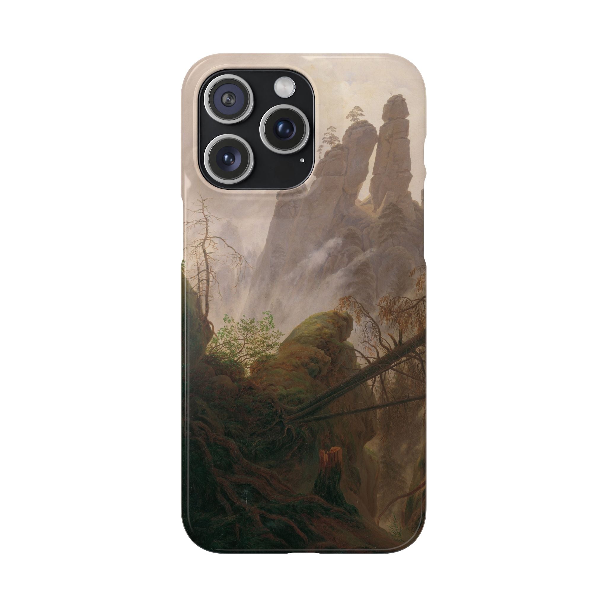 Rocky Landscape in the Elbe Sandstone Mountains by Caspar David Friedrich - iPhone Slim Case