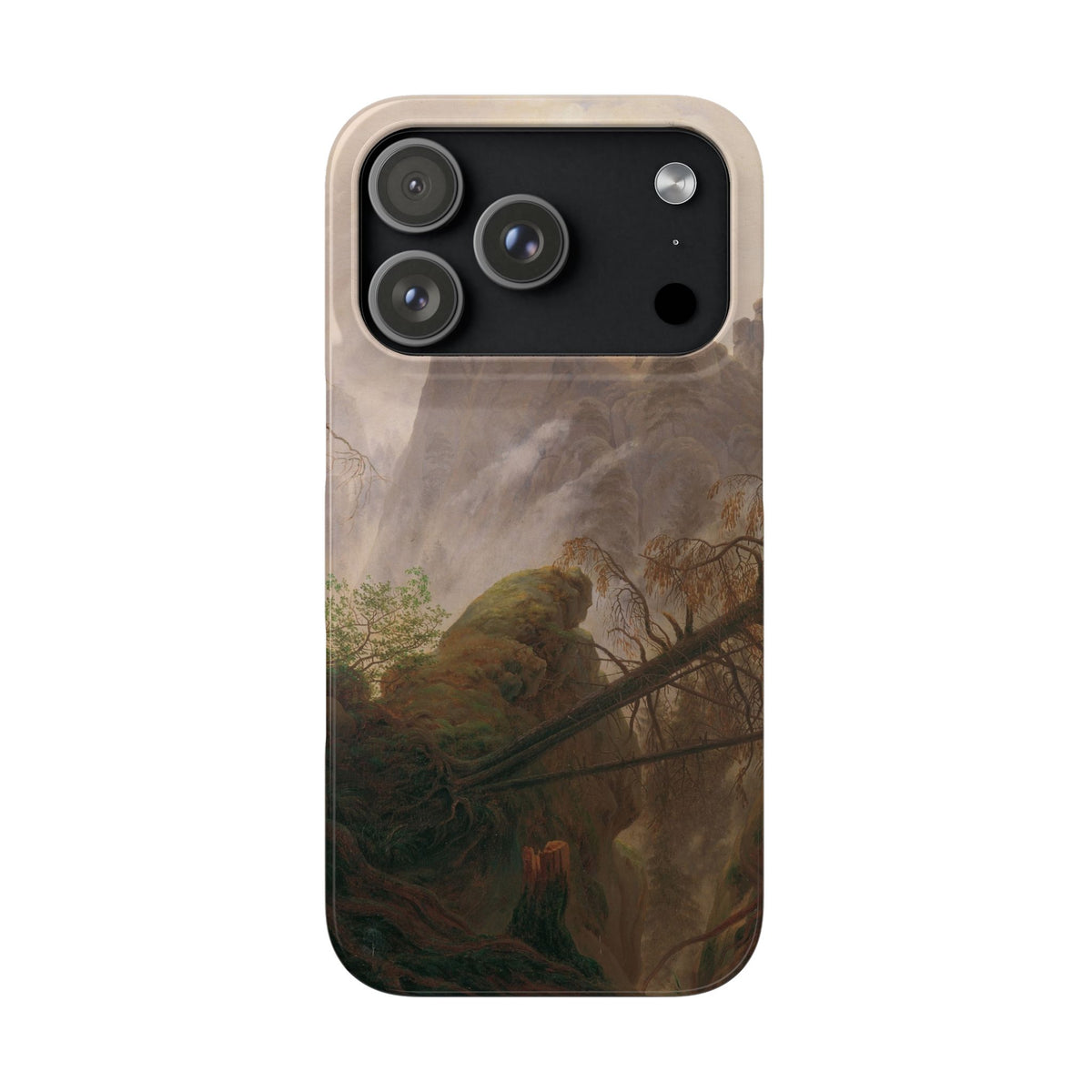 Rocky Landscape in the Elbe Sandstone Mountains by Caspar David Friedrich - iPhone Slim Case