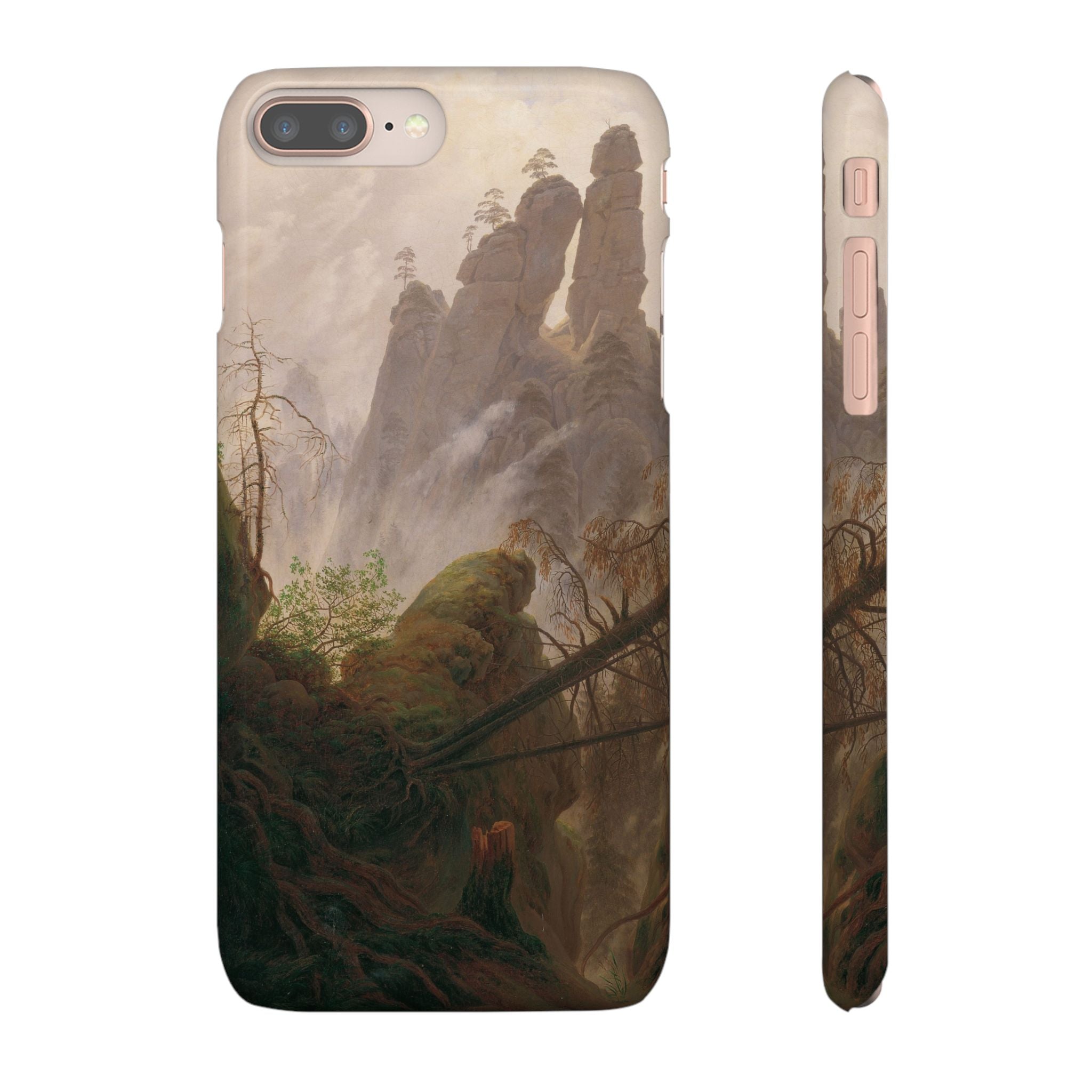 Rocky Landscape in the Elbe Sandstone Mountains by Caspar David Friedrich - iPhone Slim Case
