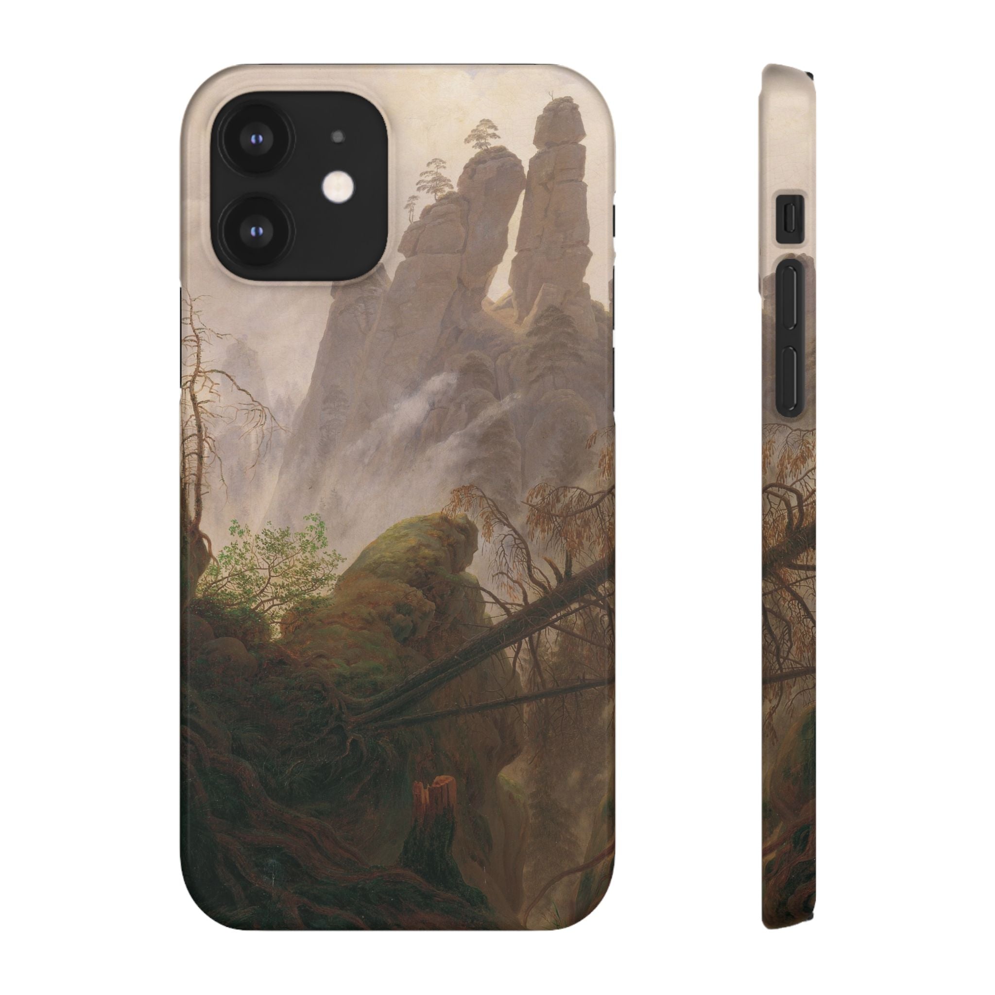 Rocky Landscape in the Elbe Sandstone Mountains by Caspar David Friedrich - iPhone Slim Case