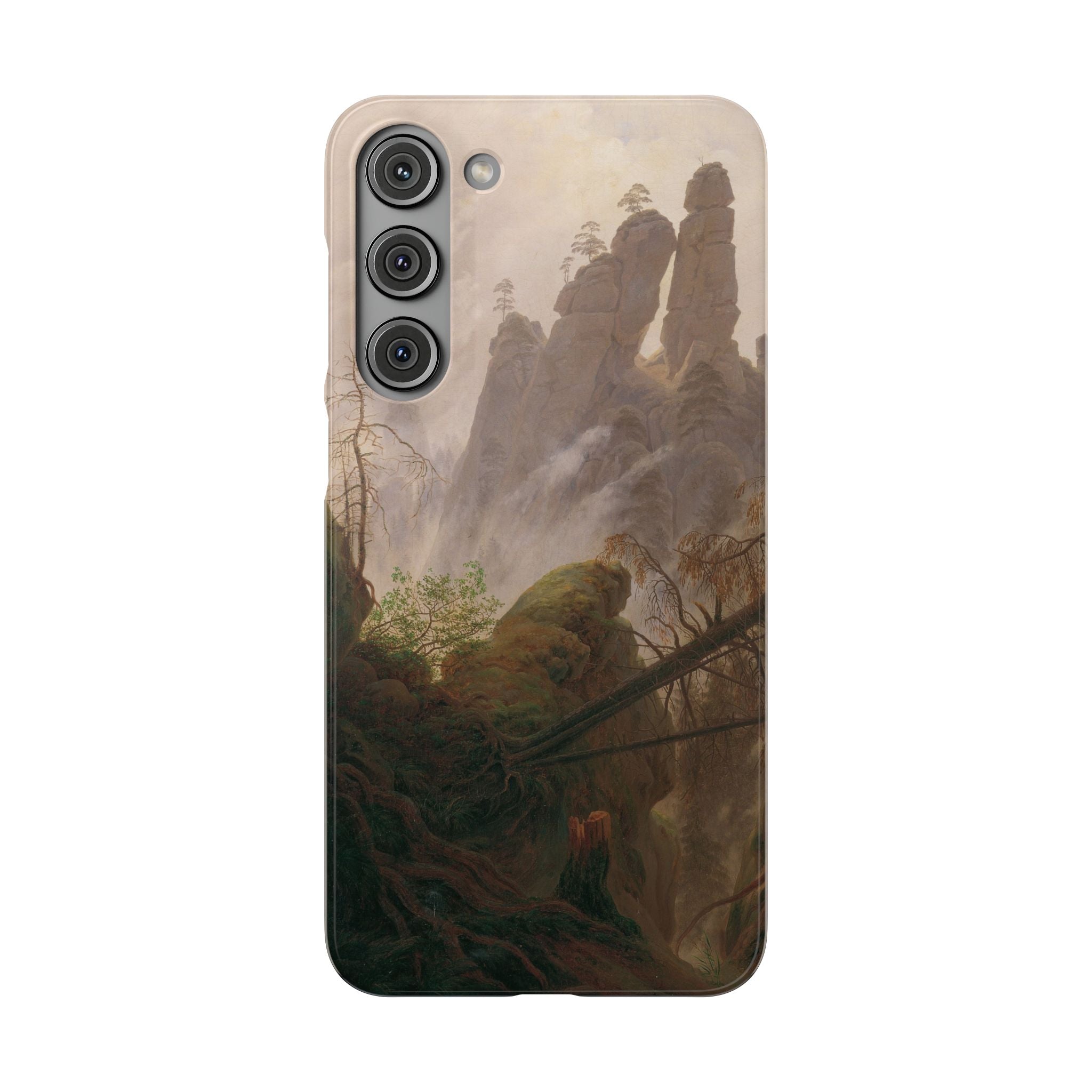 Rocky Landscape in the Elbe Sandstone Mountains by Caspar David Friedrich - Samsung Slim Case