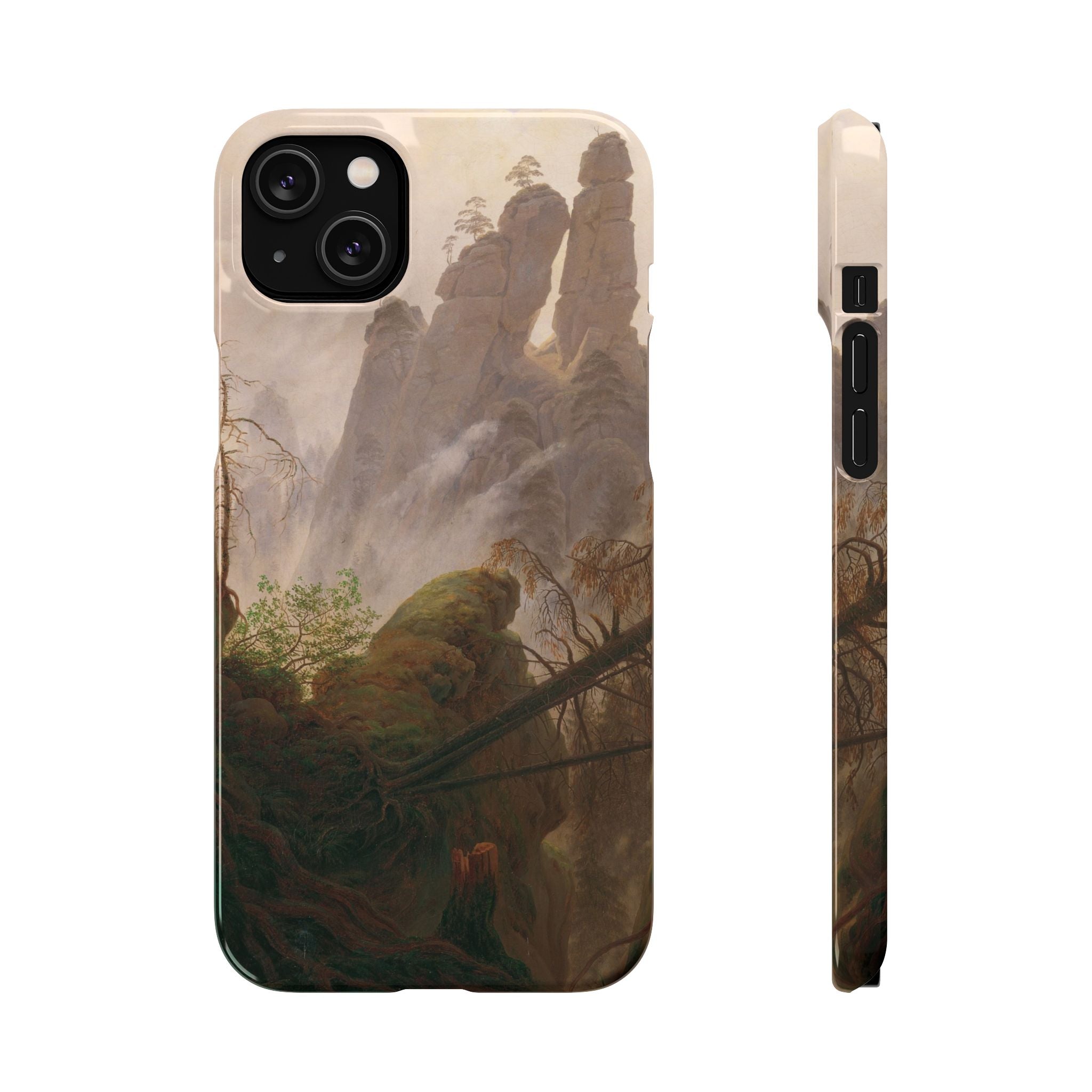 Rocky Landscape in the Elbe Sandstone Mountains by Caspar David Friedrich - iPhone Slim Case