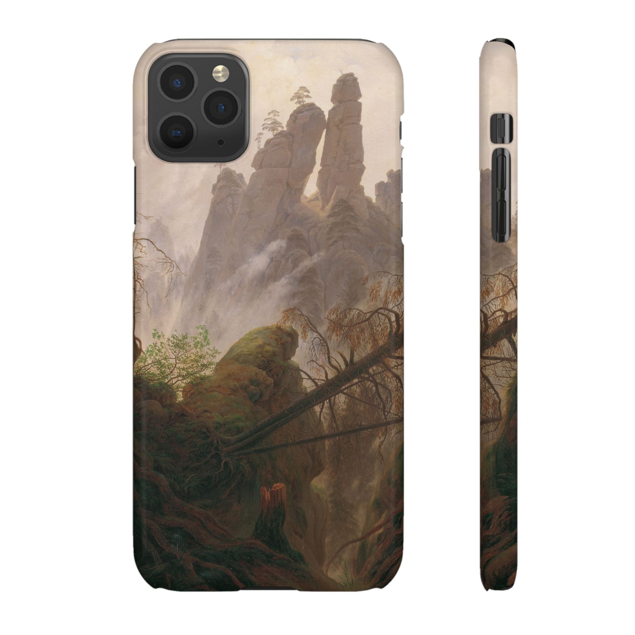 Rocky Landscape in the Elbe Sandstone Mountains by Caspar David Friedrich - iPhone Slim Case