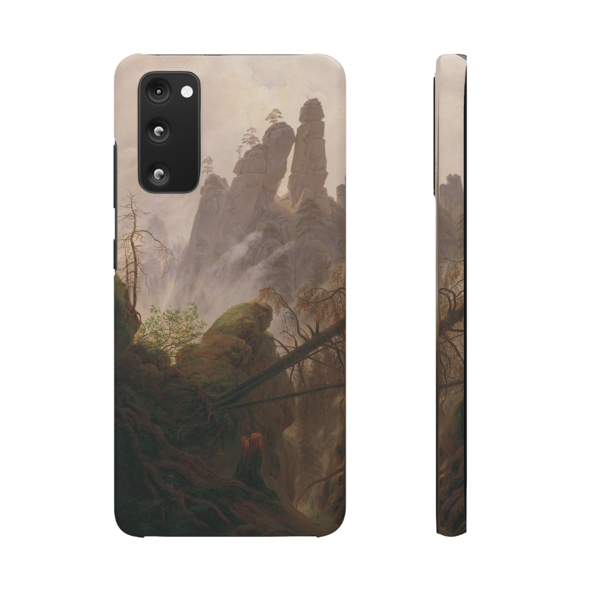 Rocky Landscape in the Elbe Sandstone Mountains by Caspar David Friedrich - Samsung Slim Case