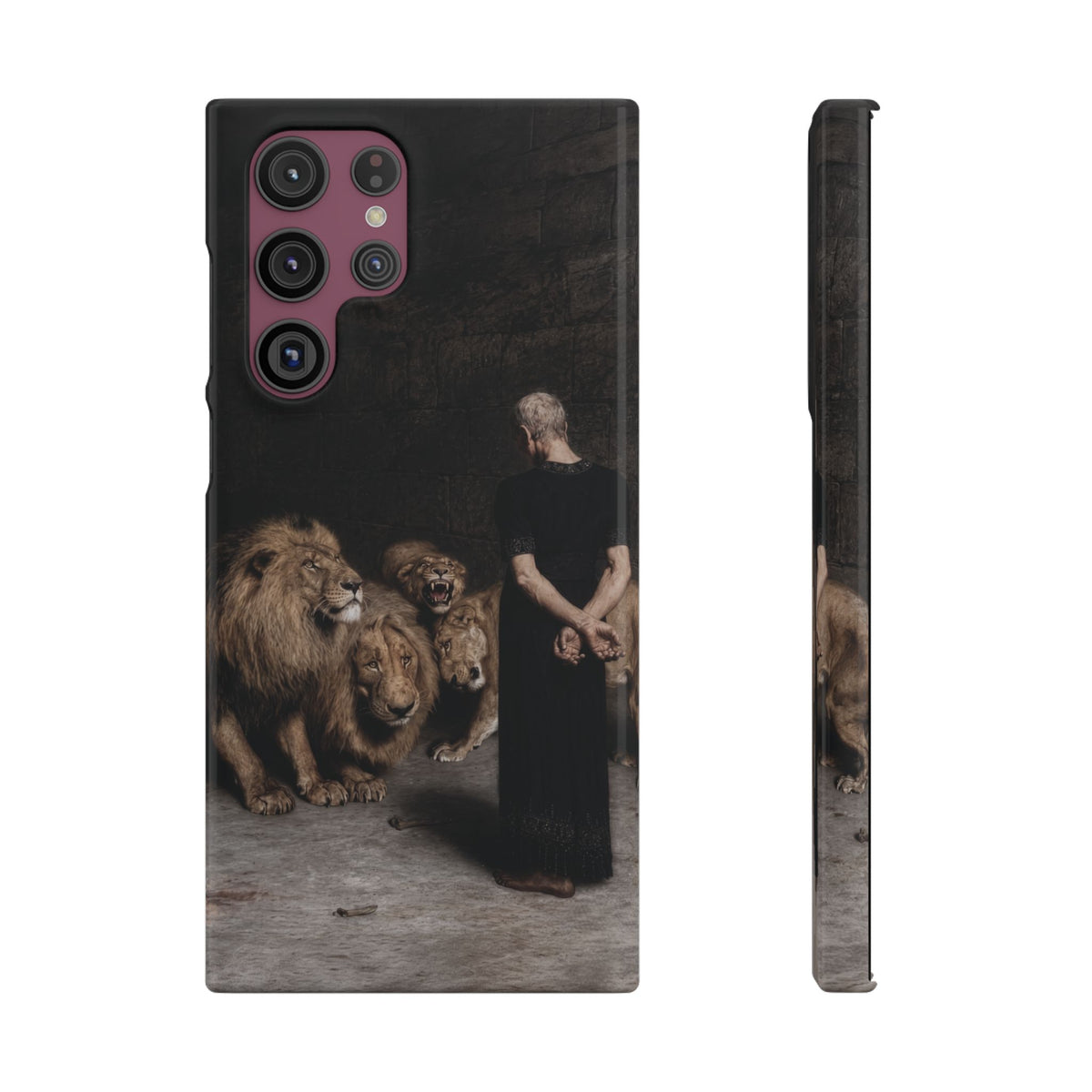 Daniel in the Lion's Den by Briton Riviere - Samsung Slim Case