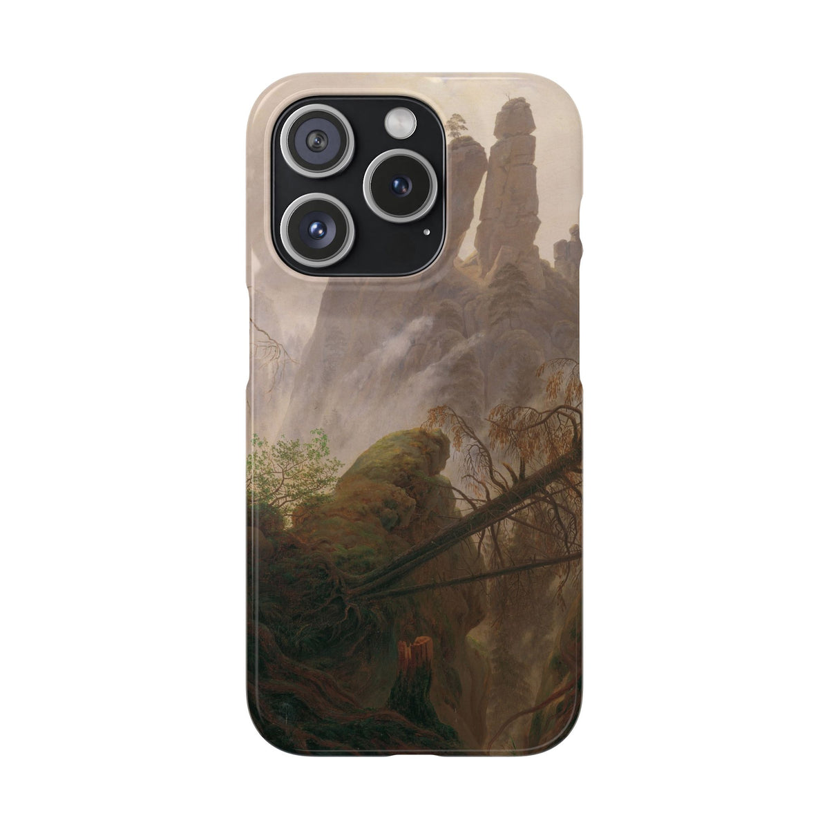 Rocky Landscape in the Elbe Sandstone Mountains by Caspar David Friedrich - iPhone Slim Case