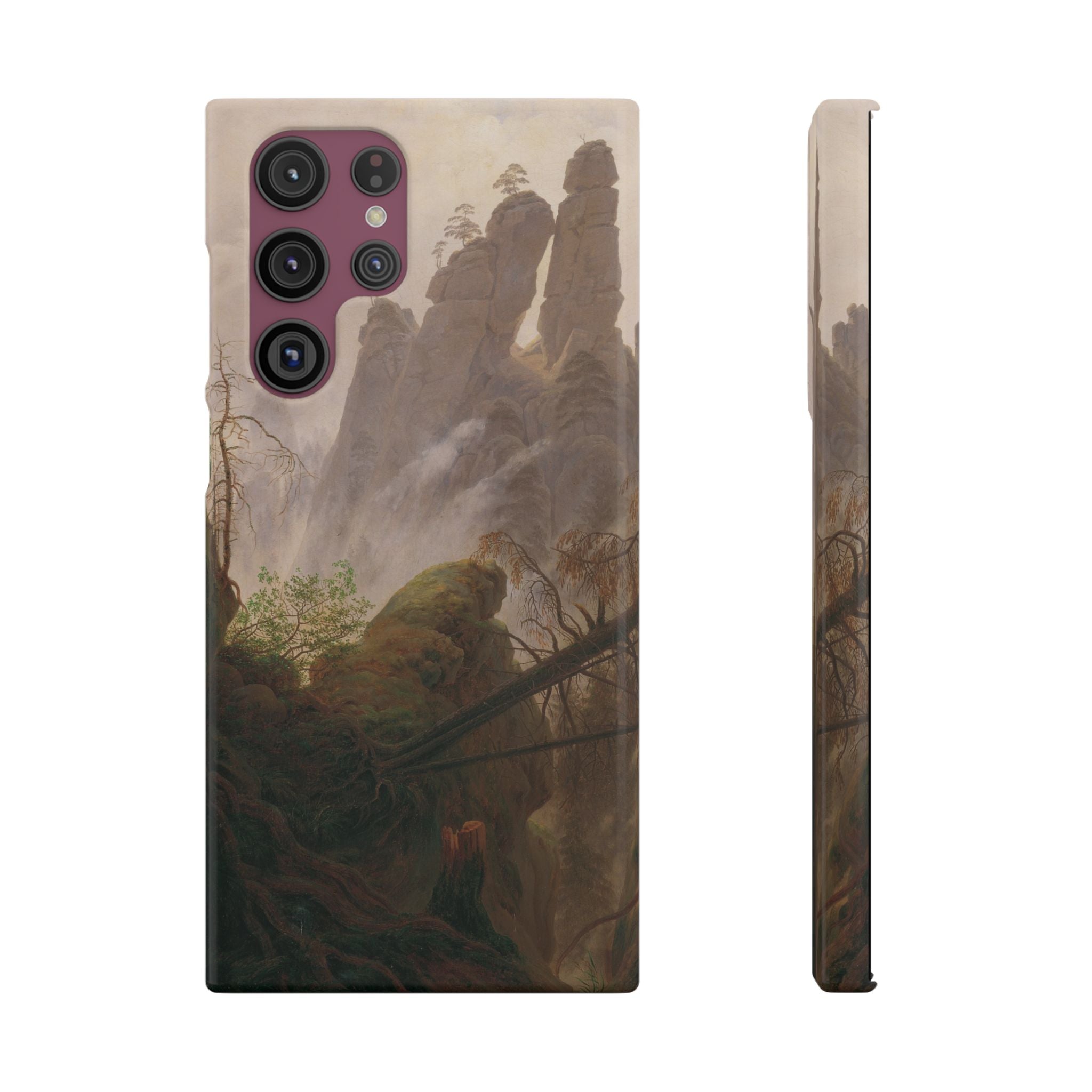 Rocky Landscape in the Elbe Sandstone Mountains by Caspar David Friedrich - Samsung Slim Case