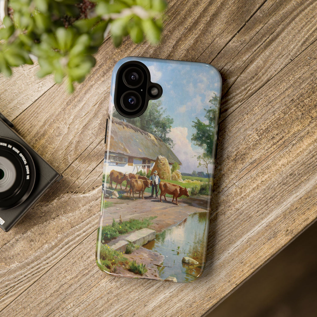The cows are watered at the village pond in Stroby Egede Denmark by Peder Mork Monsted - iPhone Tough Case