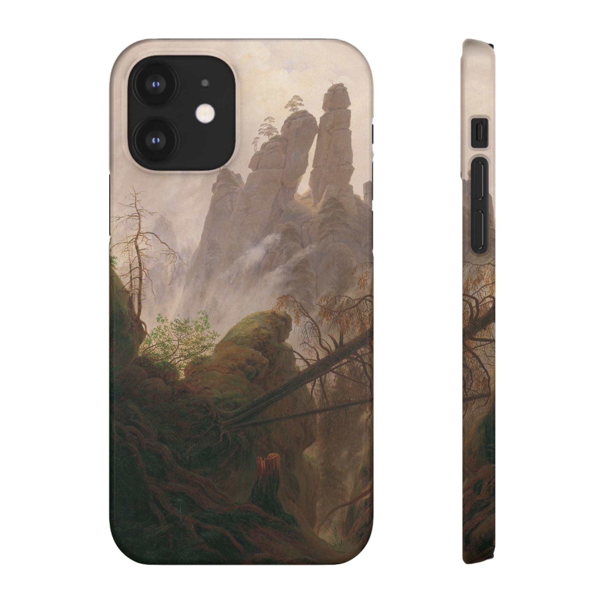 Rocky Landscape in the Elbe Sandstone Mountains by Caspar David Friedrich - iPhone Slim Case