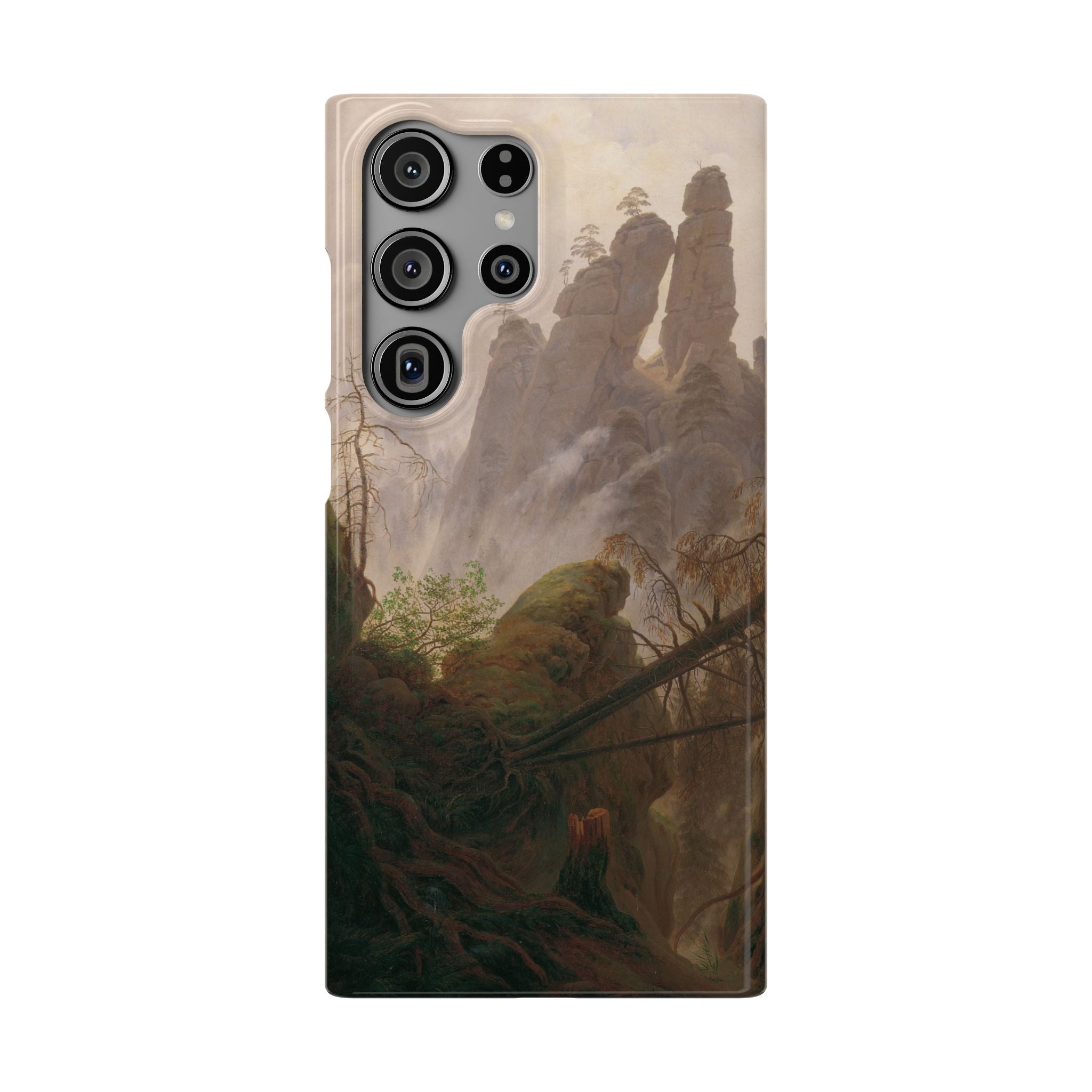 Rocky Landscape in the Elbe Sandstone Mountains by Caspar David Friedrich - Samsung Slim Case