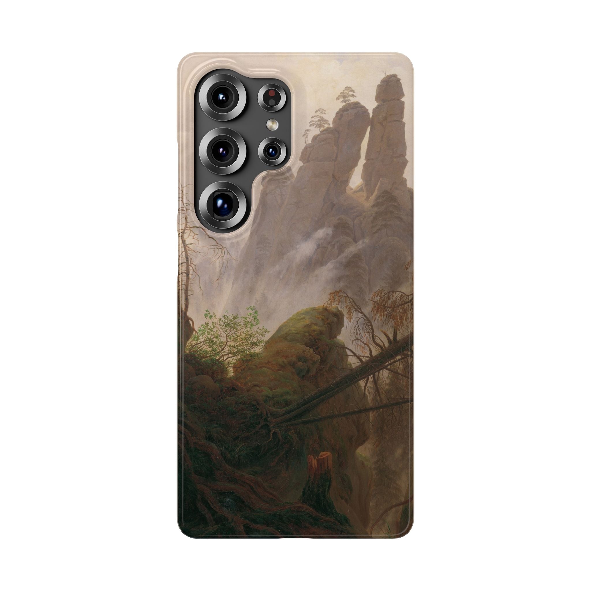 Rocky Landscape in the Elbe Sandstone Mountains by Caspar David Friedrich - Samsung Slim Case