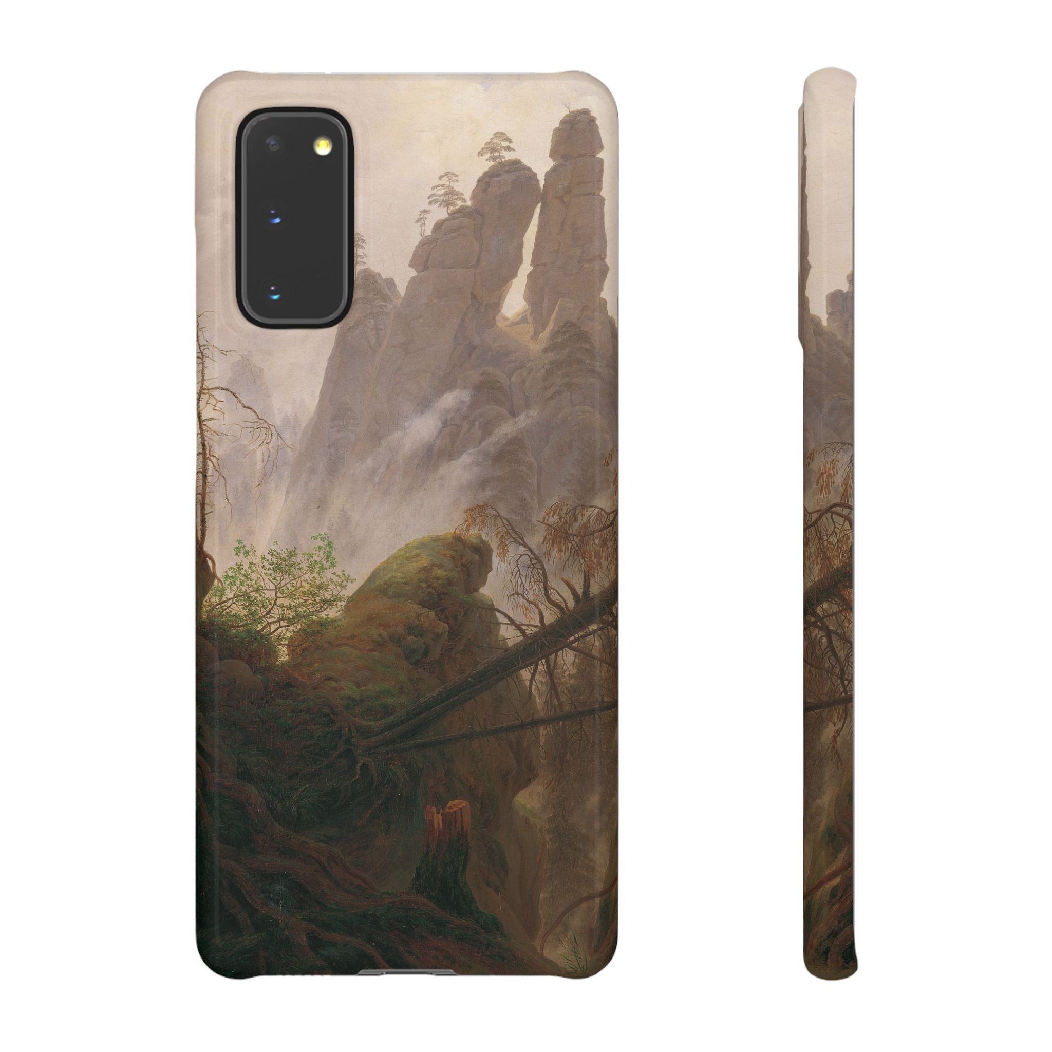 Rocky Landscape in the Elbe Sandstone Mountains by Caspar David Friedrich - Samsung Slim Case