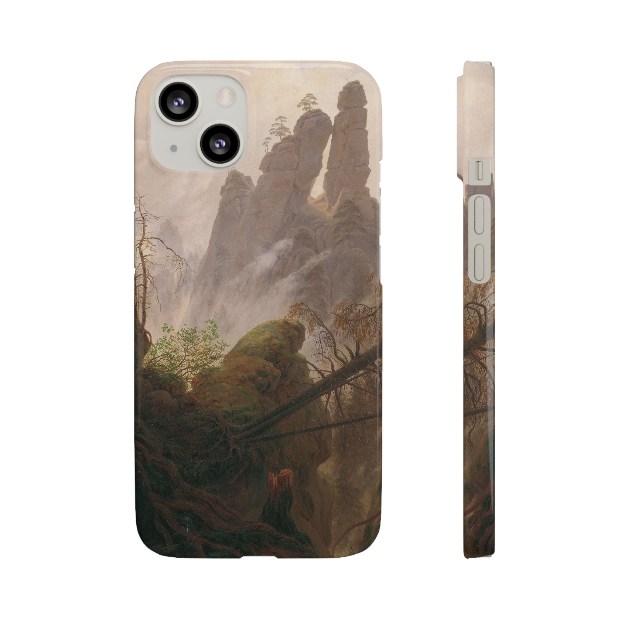 Rocky Landscape in the Elbe Sandstone Mountains by Caspar David Friedrich - iPhone Slim Case