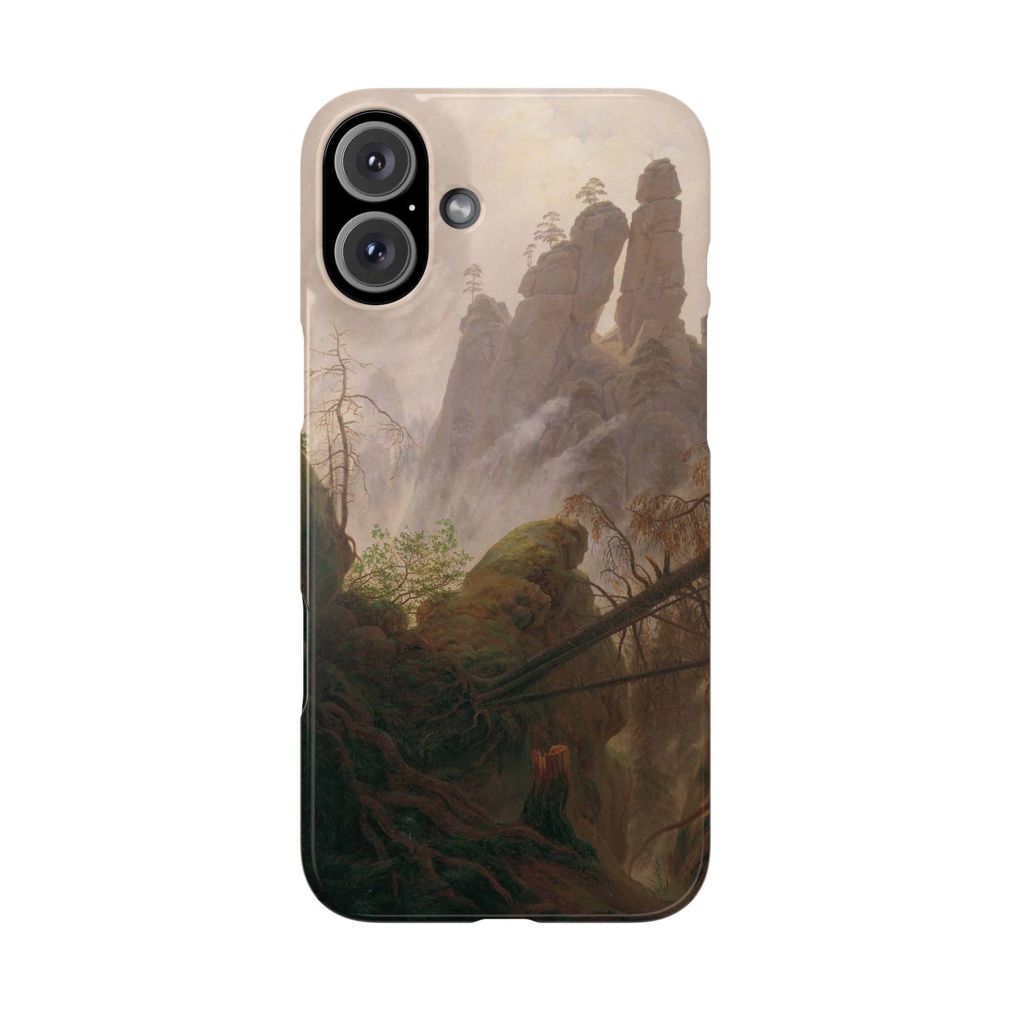 Rocky Landscape in the Elbe Sandstone Mountains by Caspar David Friedrich - iPhone Slim Case