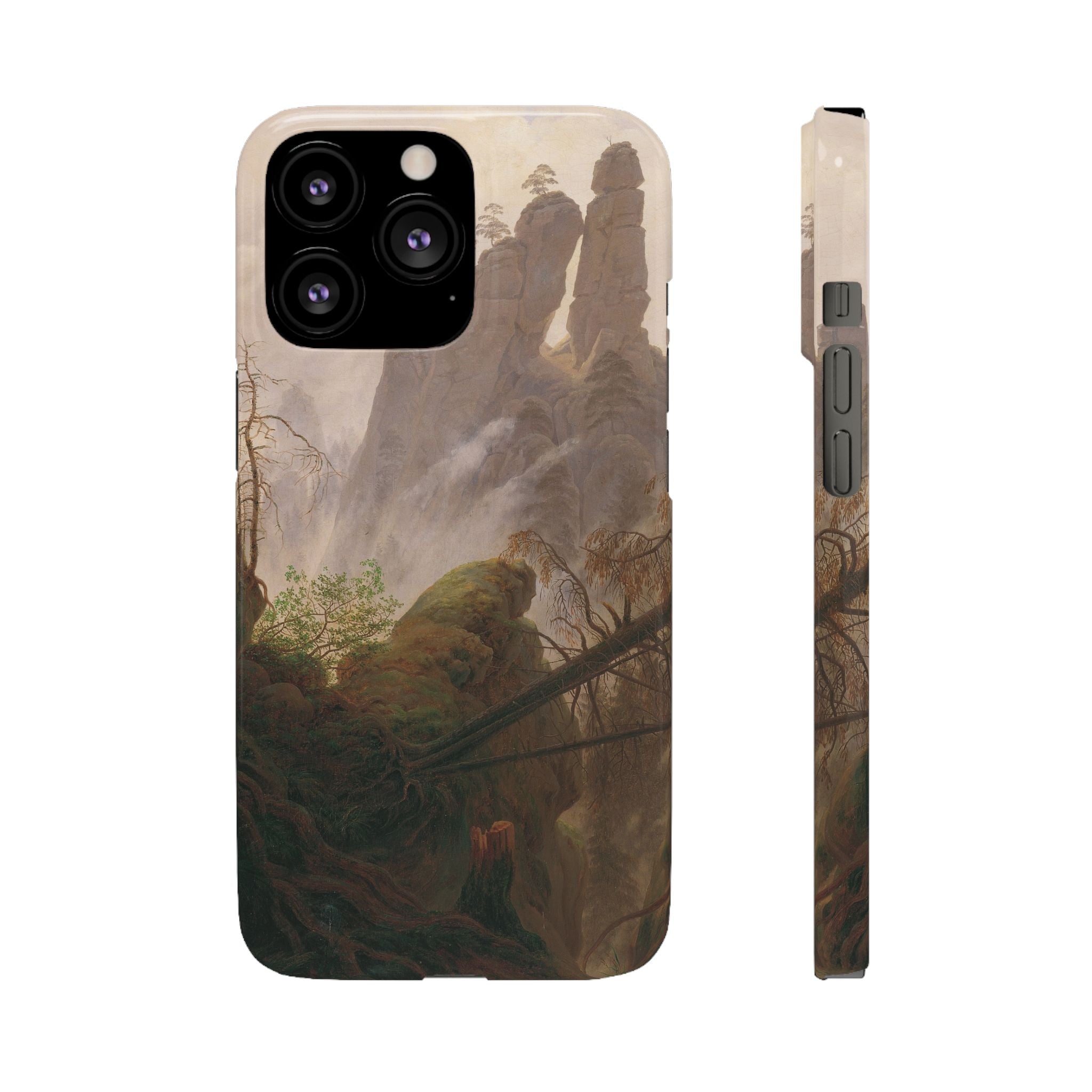 Rocky Landscape in the Elbe Sandstone Mountains by Caspar David Friedrich - iPhone Slim Case