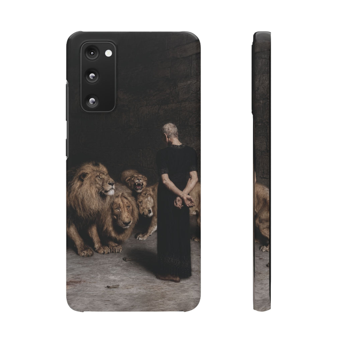 Daniel in the Lion's Den by Briton Riviere - Samsung Slim Case