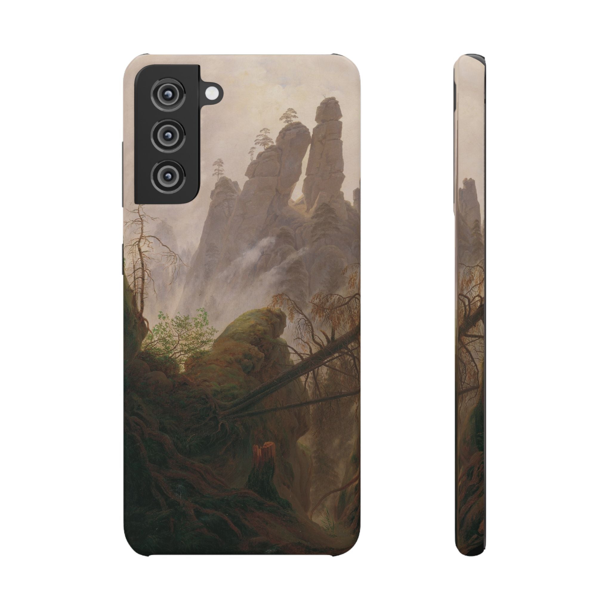 Rocky Landscape in the Elbe Sandstone Mountains by Caspar David Friedrich - Samsung Slim Case