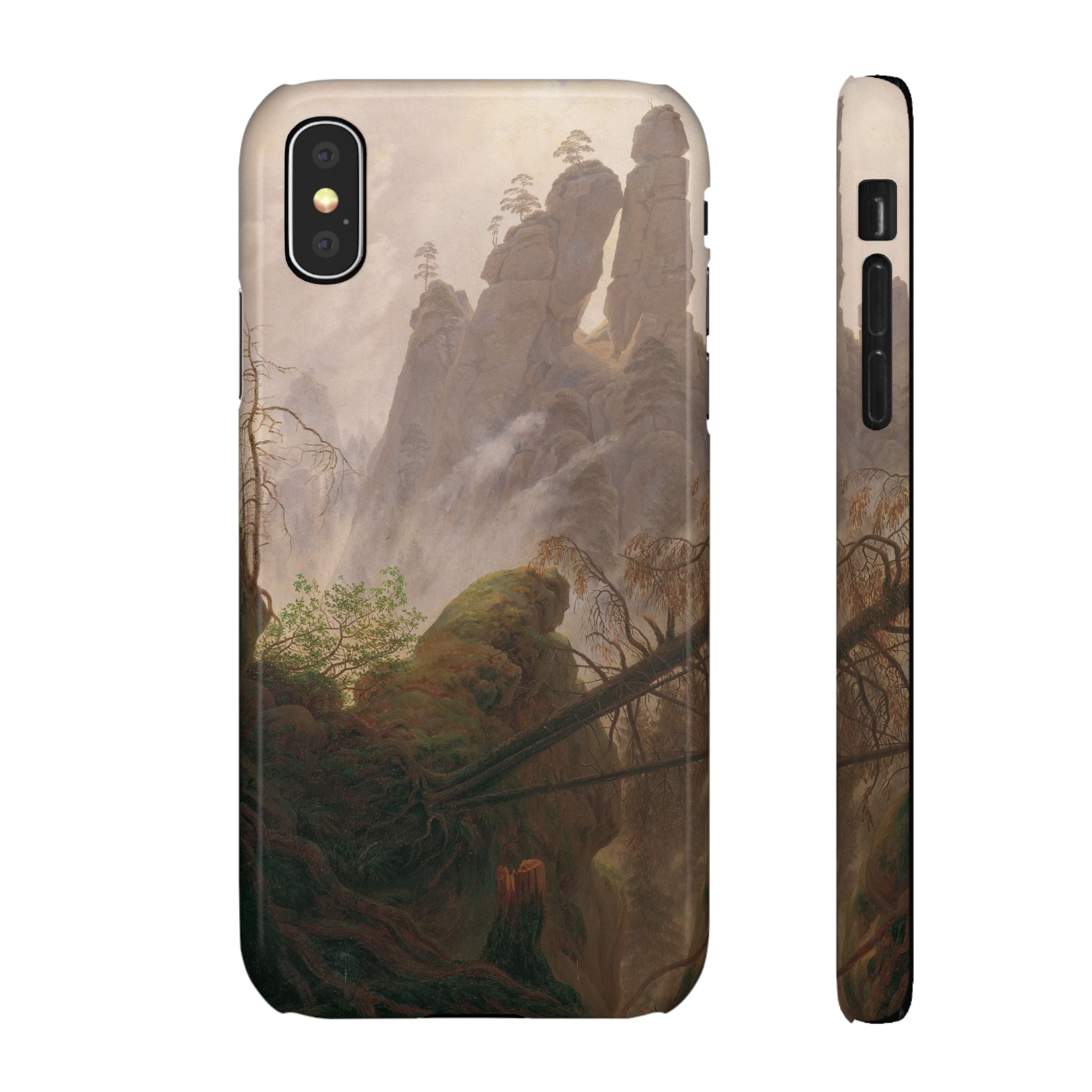 Rocky Landscape in the Elbe Sandstone Mountains by Caspar David Friedrich - iPhone Slim Case