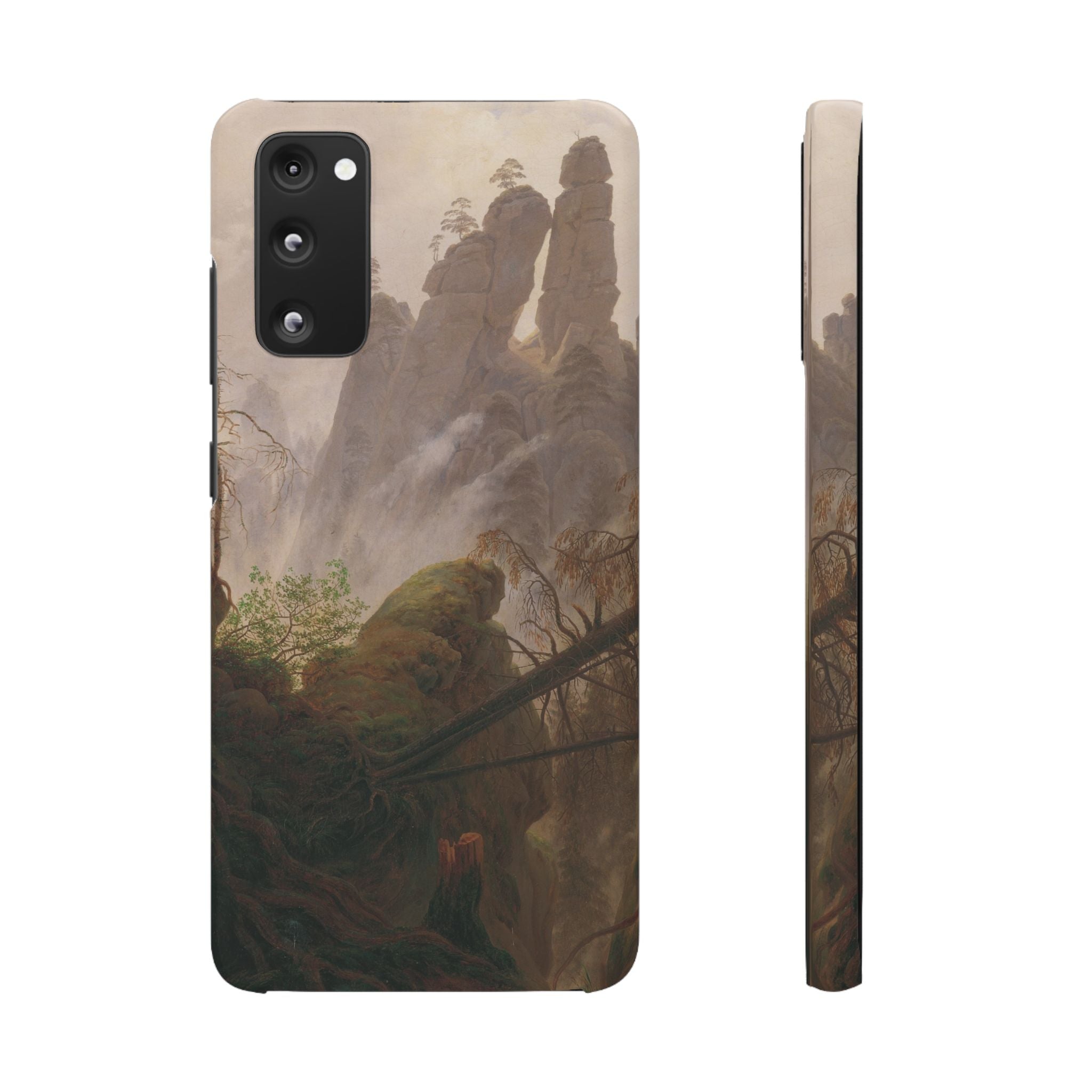 Rocky Landscape in the Elbe Sandstone Mountains by Caspar David Friedrich - Samsung Slim Case
