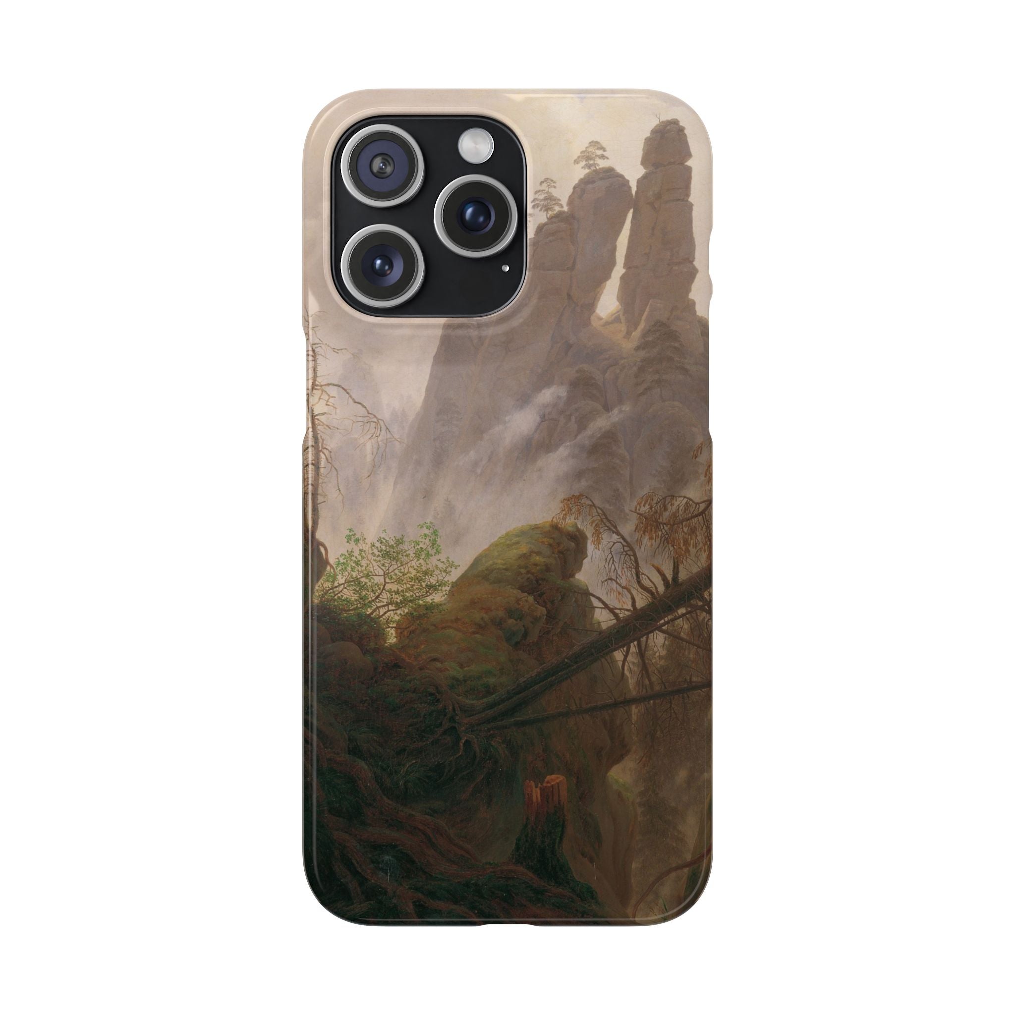 Rocky Landscape in the Elbe Sandstone Mountains by Caspar David Friedrich - iPhone Slim Case
