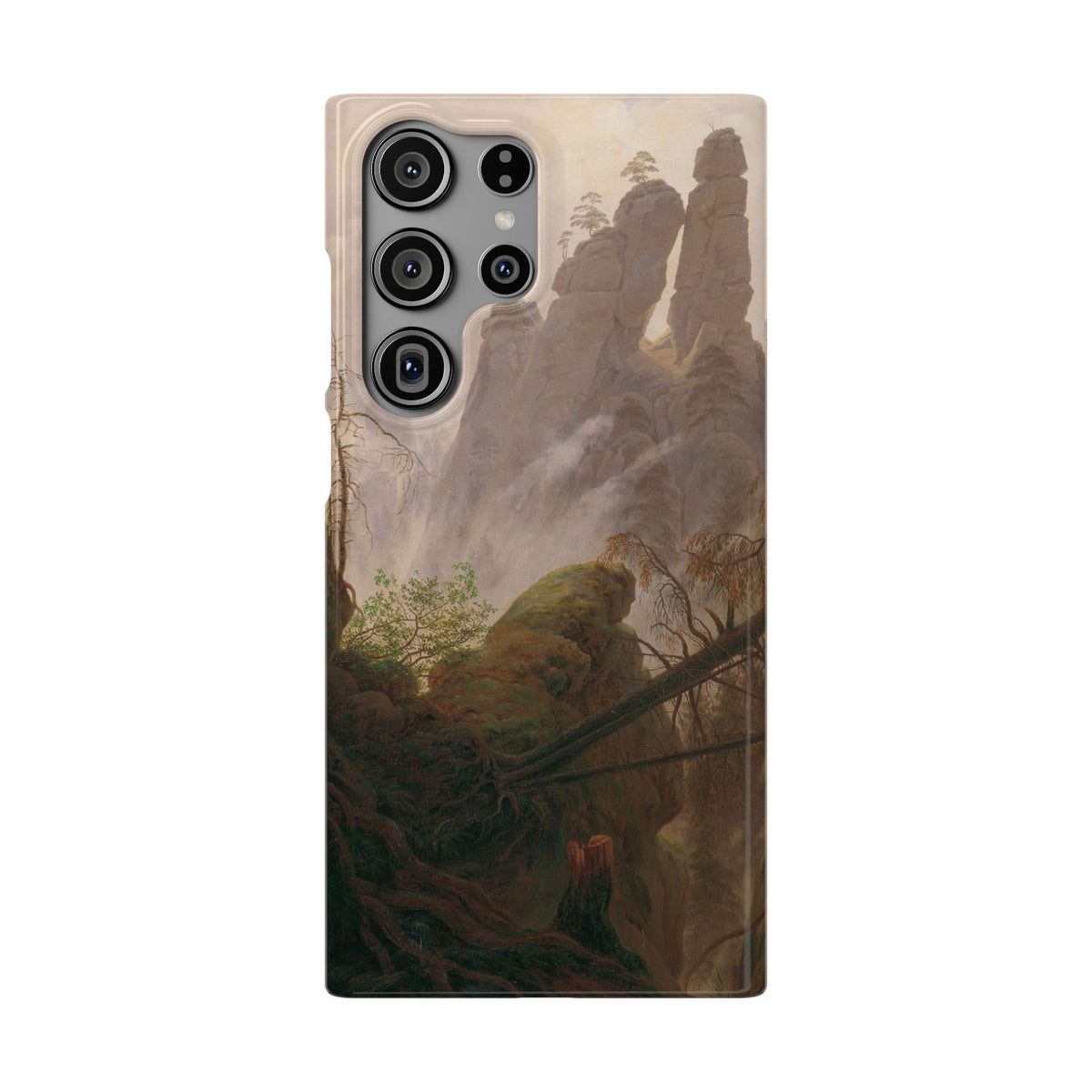 Rocky Landscape in the Elbe Sandstone Mountains by Caspar David Friedrich - Samsung Slim Case