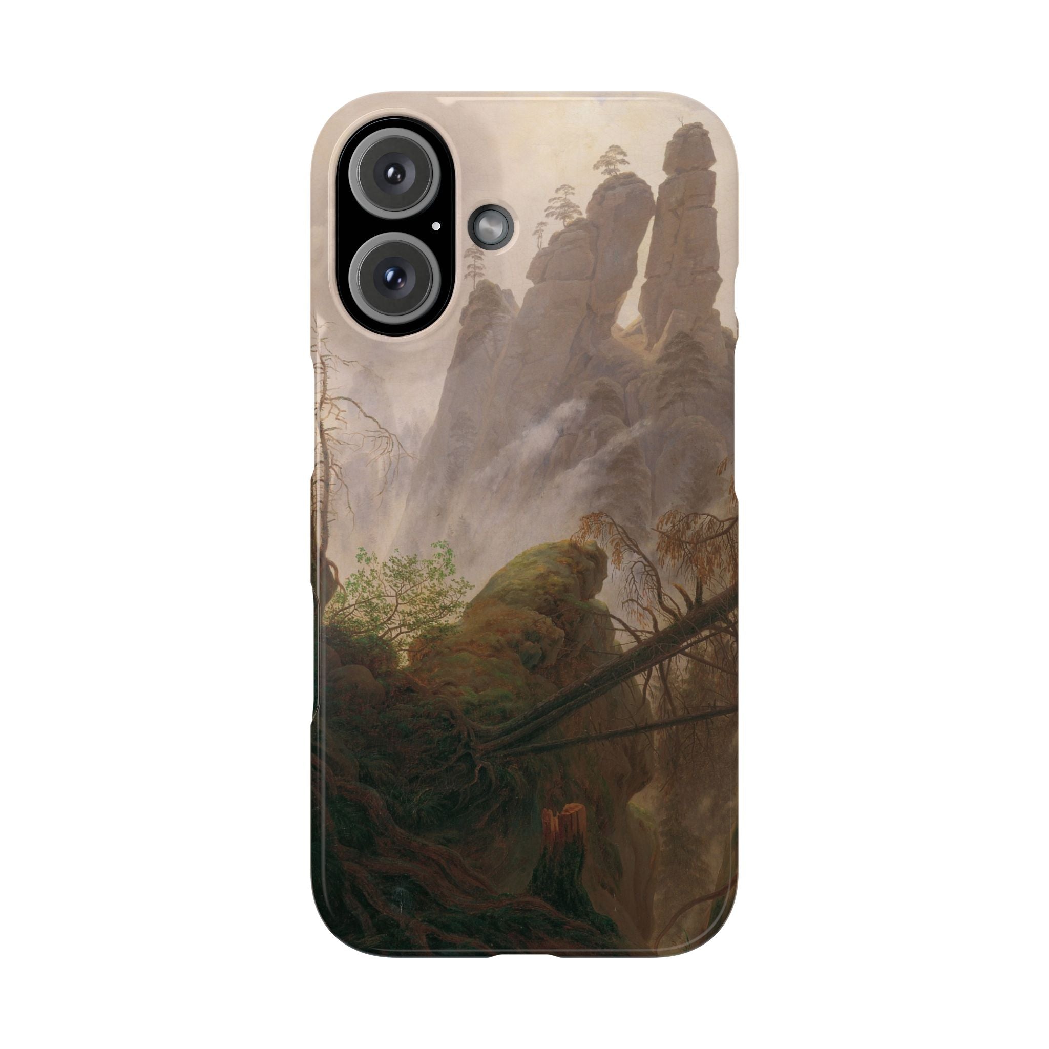 Rocky Landscape in the Elbe Sandstone Mountains by Caspar David Friedrich - iPhone Slim Case