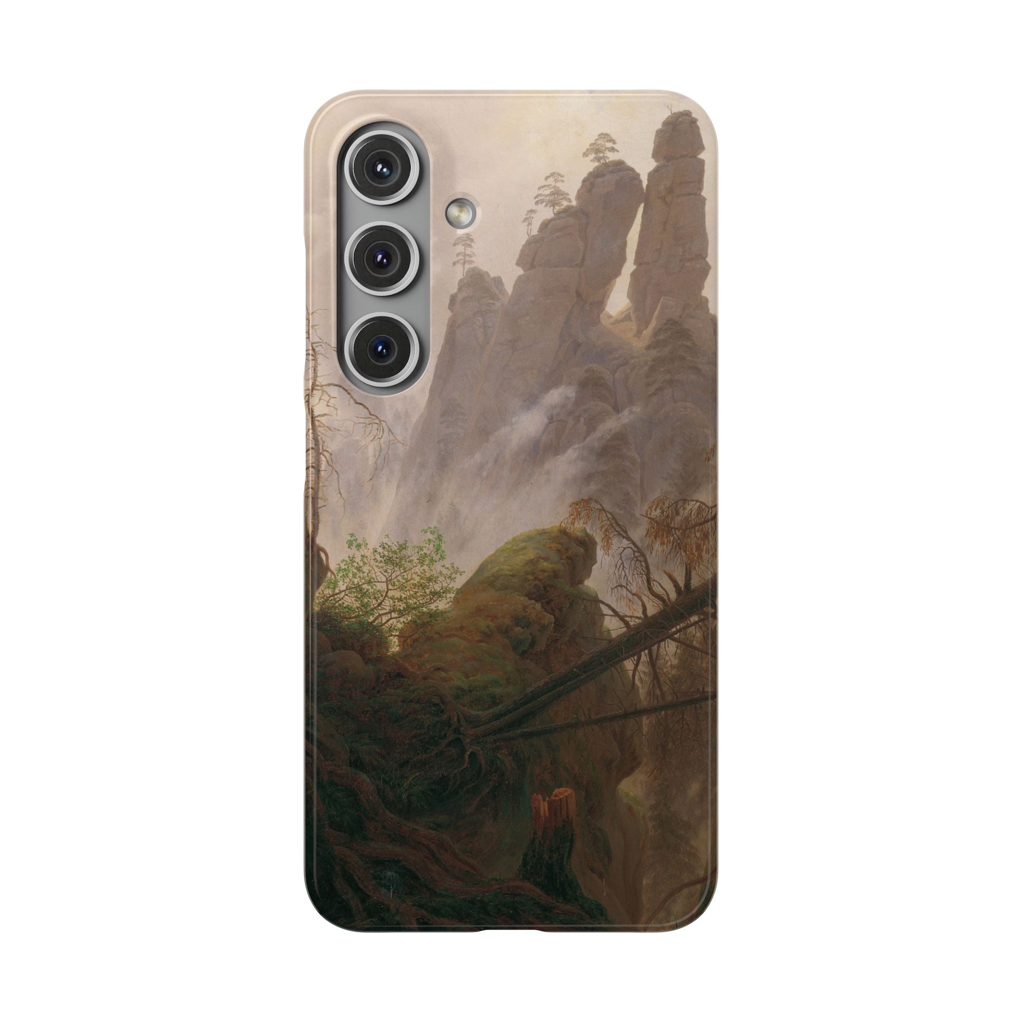 Rocky Landscape in the Elbe Sandstone Mountains by Caspar David Friedrich - Samsung Slim Case